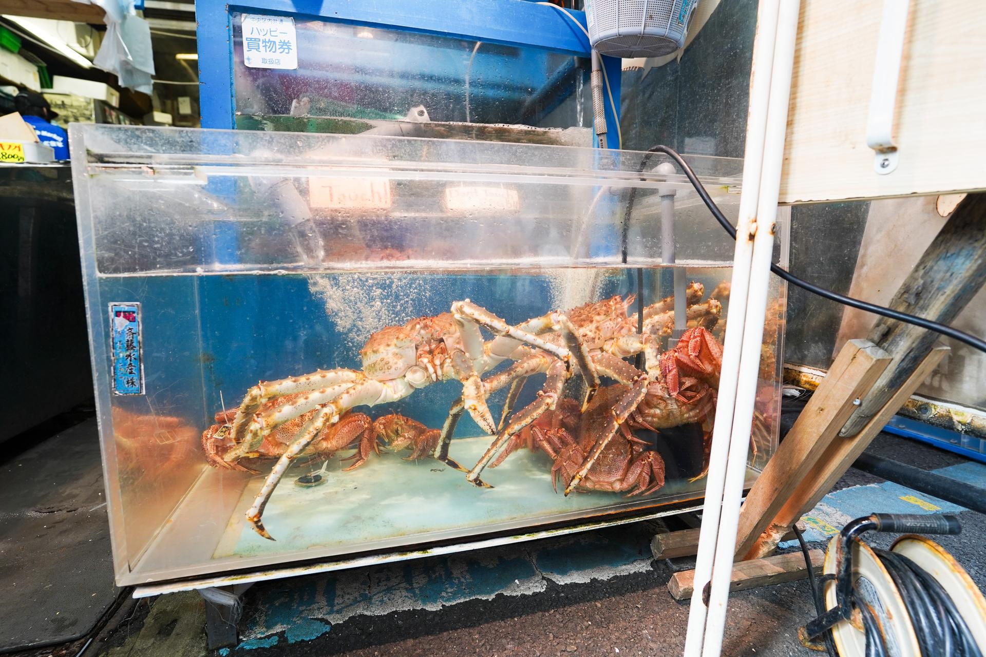 Tsukiji Fish Market Tour : Behind the Scenes & 10 Seafood Tastings  - Thumbnail 28