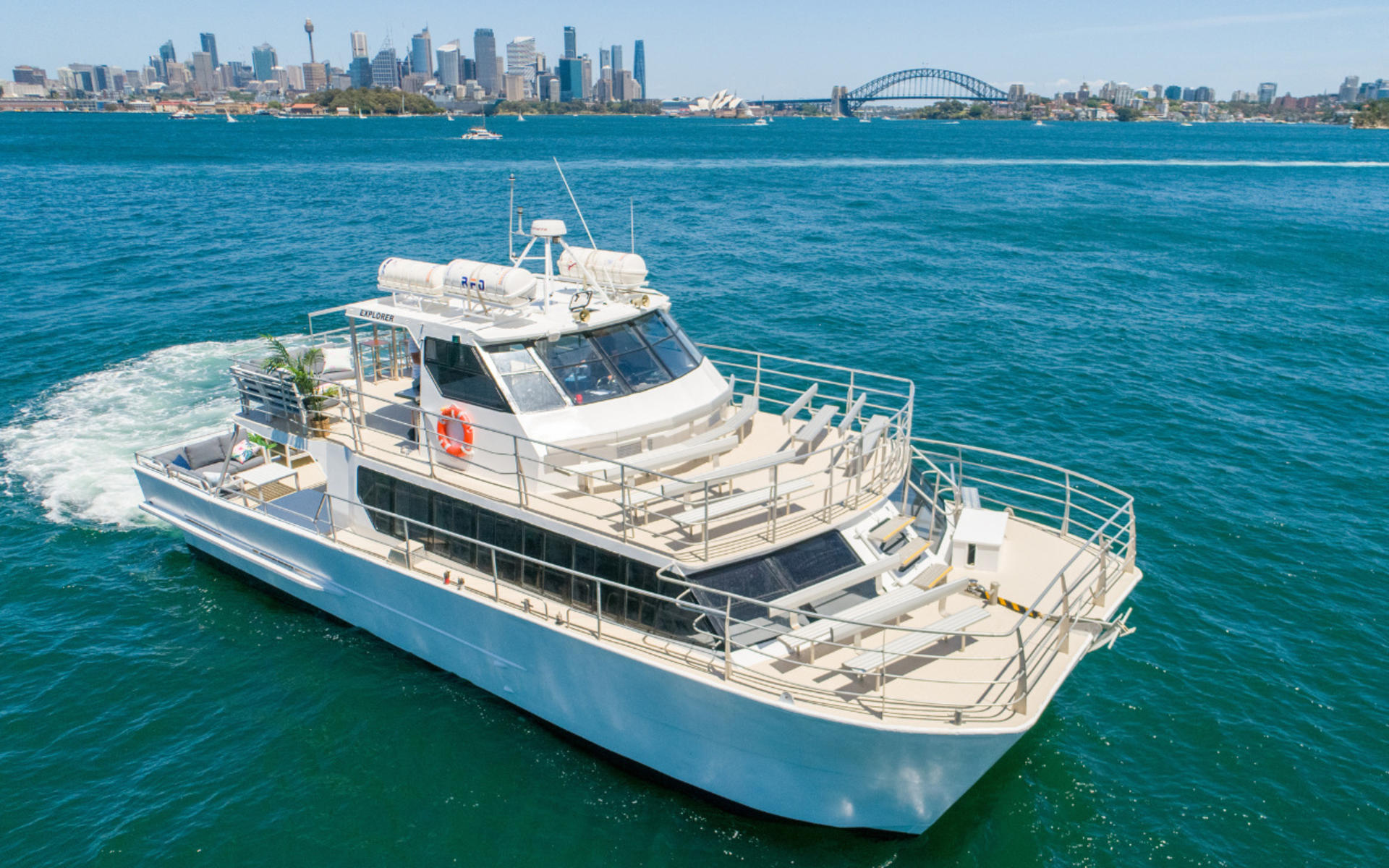 Sydney Whale Watching Adventure Cruise - Thumbnail 2