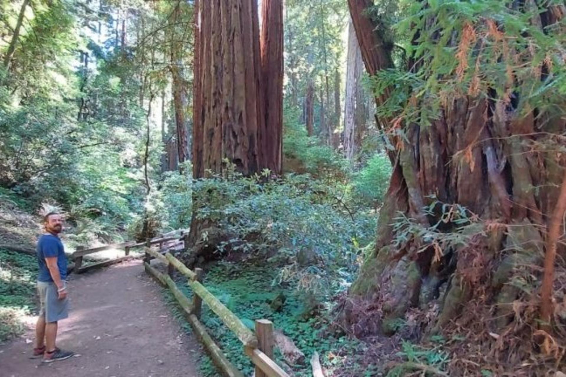 Muir Woods and Sausalito Half-Day Small Group Tour - Thumbnail 2
