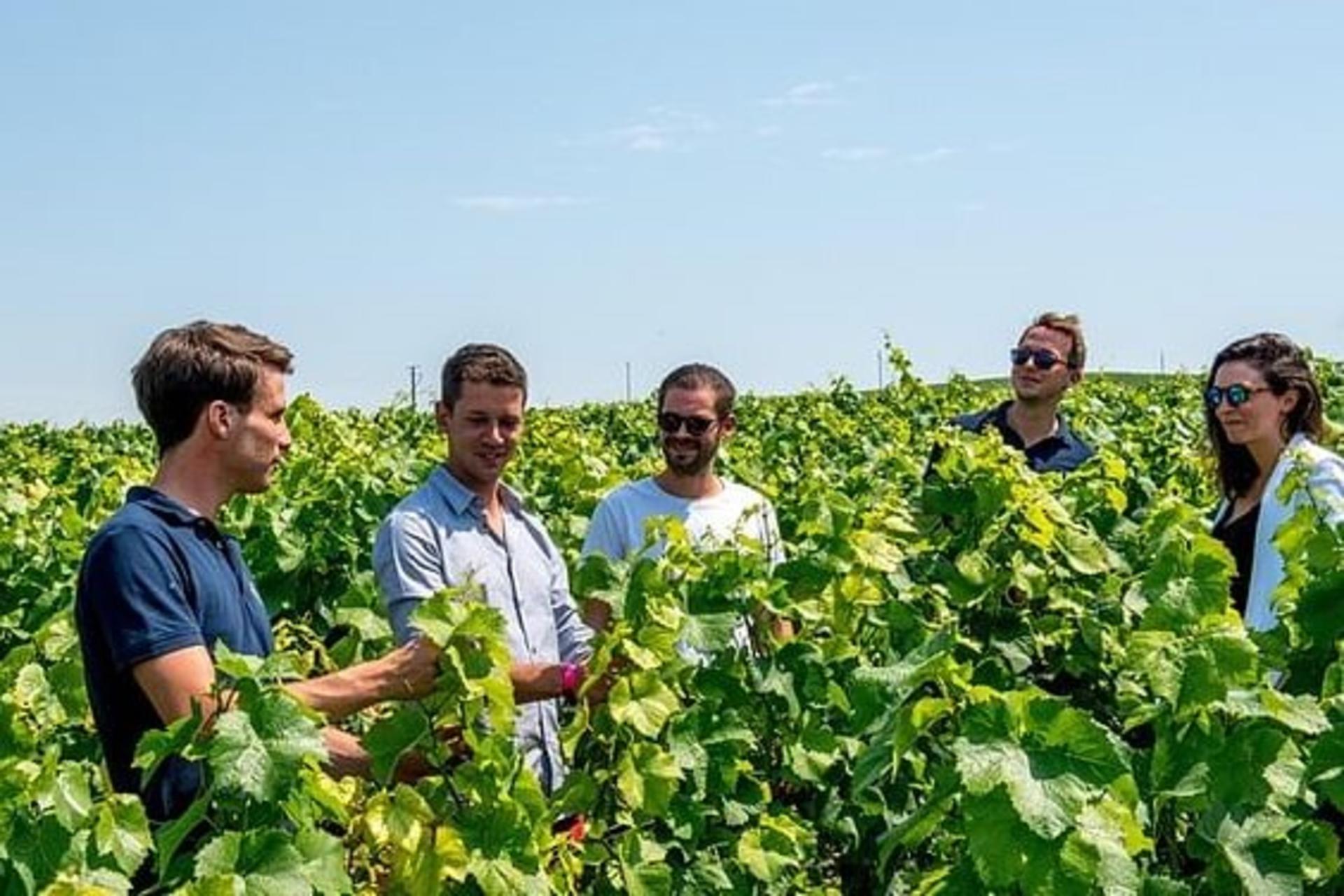 Half Day Family Grower Tour with Traditional Lunch from Reims - Thumbnail 2