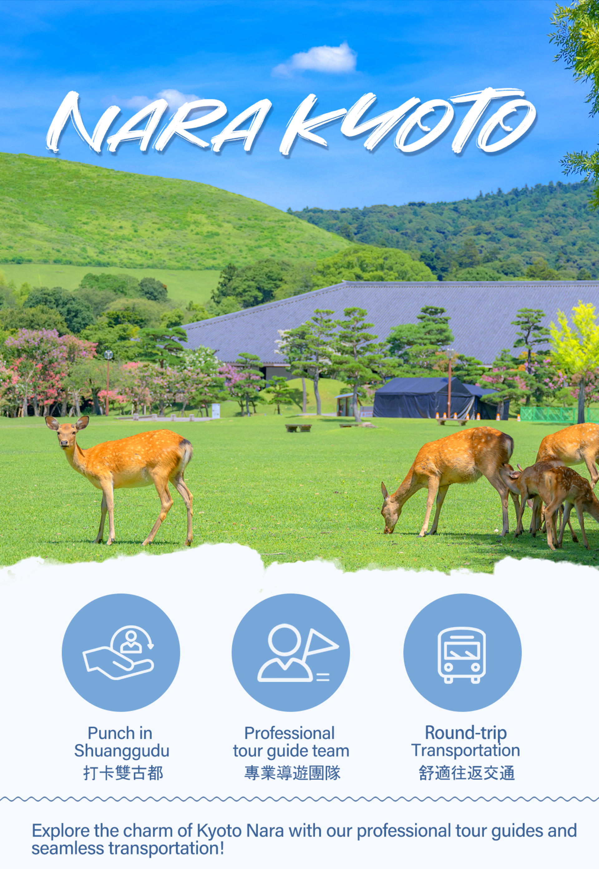 Kyoto Nara Arashiyama Day Trip | Nara Park Deer Feeding & Fushimi Inari Shrine's Thousand Torii Gates & Arashiyama Scenic Railway & Bamboo Forest Path | Kyoto or Osaka Drop-off - Thumbnail 2
