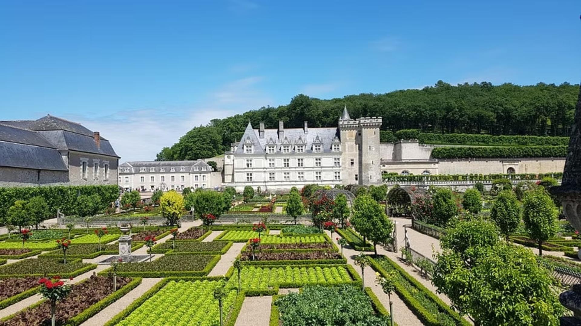 Loire Valley Day Tour: Villandry, Azay-le-Rideau & Vouvray wineries - Image 1
