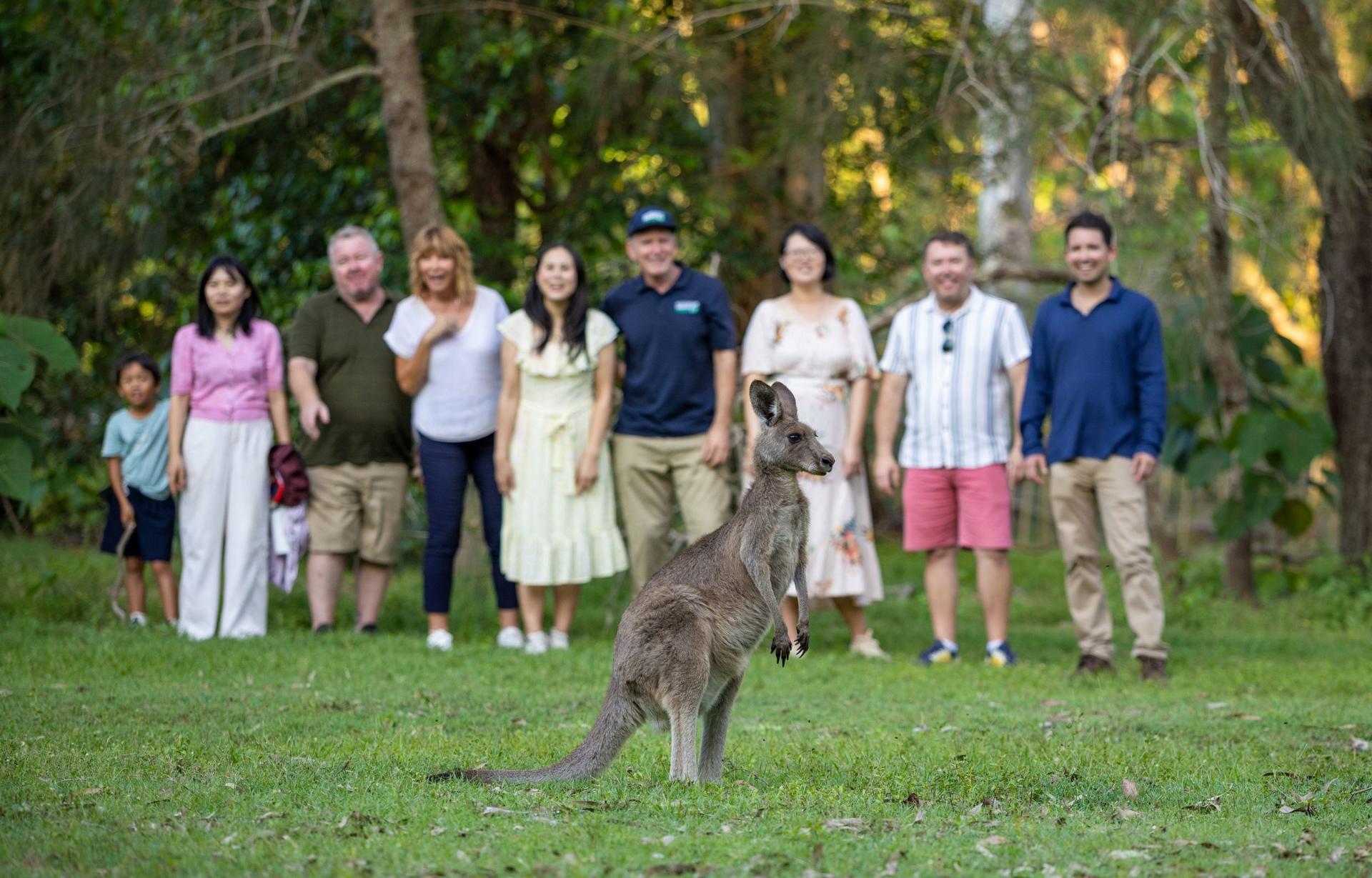 Gold Coast Tamborine National Park Half-Day Tour - Thumbnail 4
