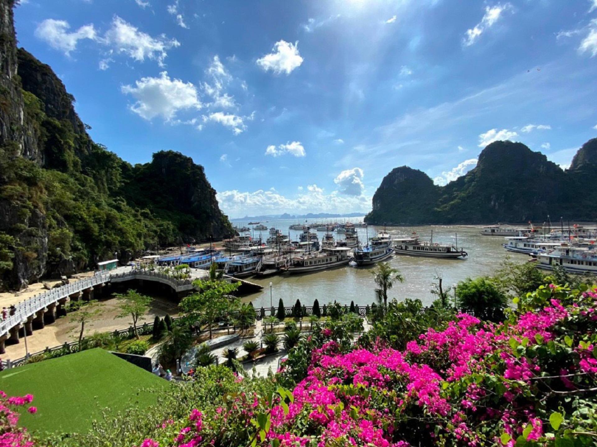Dragonfly Day Cruise: Ha Long Bay, Thien Cung Cave Private Tour - Thumbnail 3