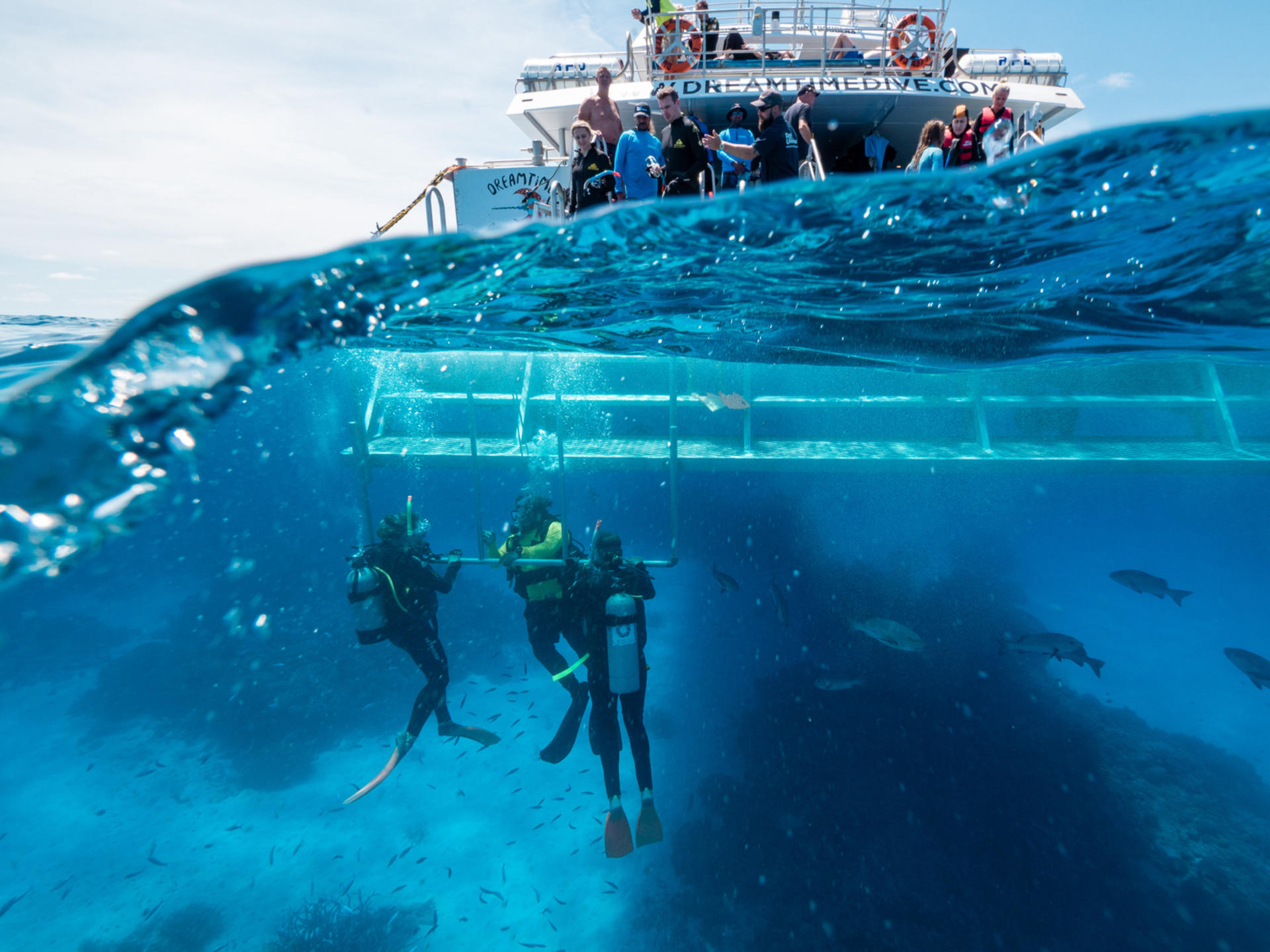Cairns Great Barrier Reef Snorkel Experience - Thumbnail 2