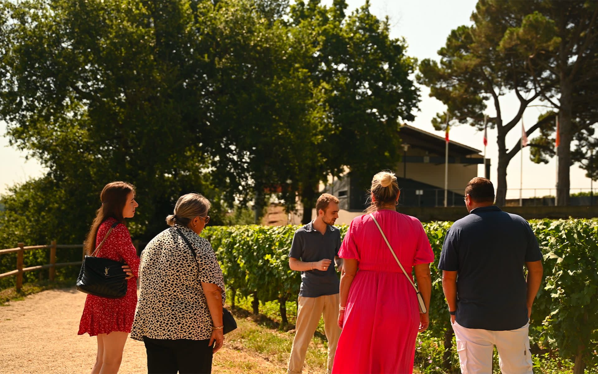 Saint-Emilion Grands Crus Classes Winery Visit & Tasting Experience - Thumbnail 5