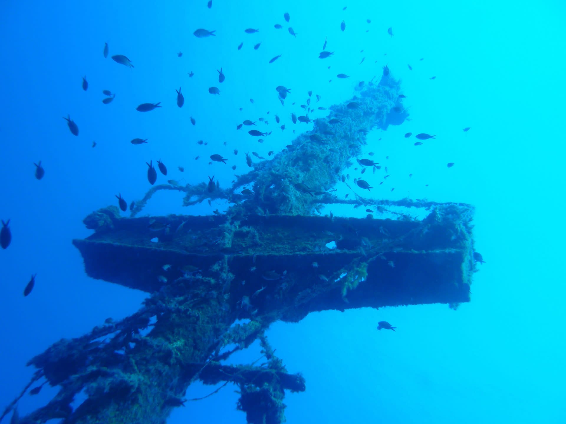 PADI Enriched Air Diver in Rhodes with PADI 5 Star IDC Resort - Thumbnail 3