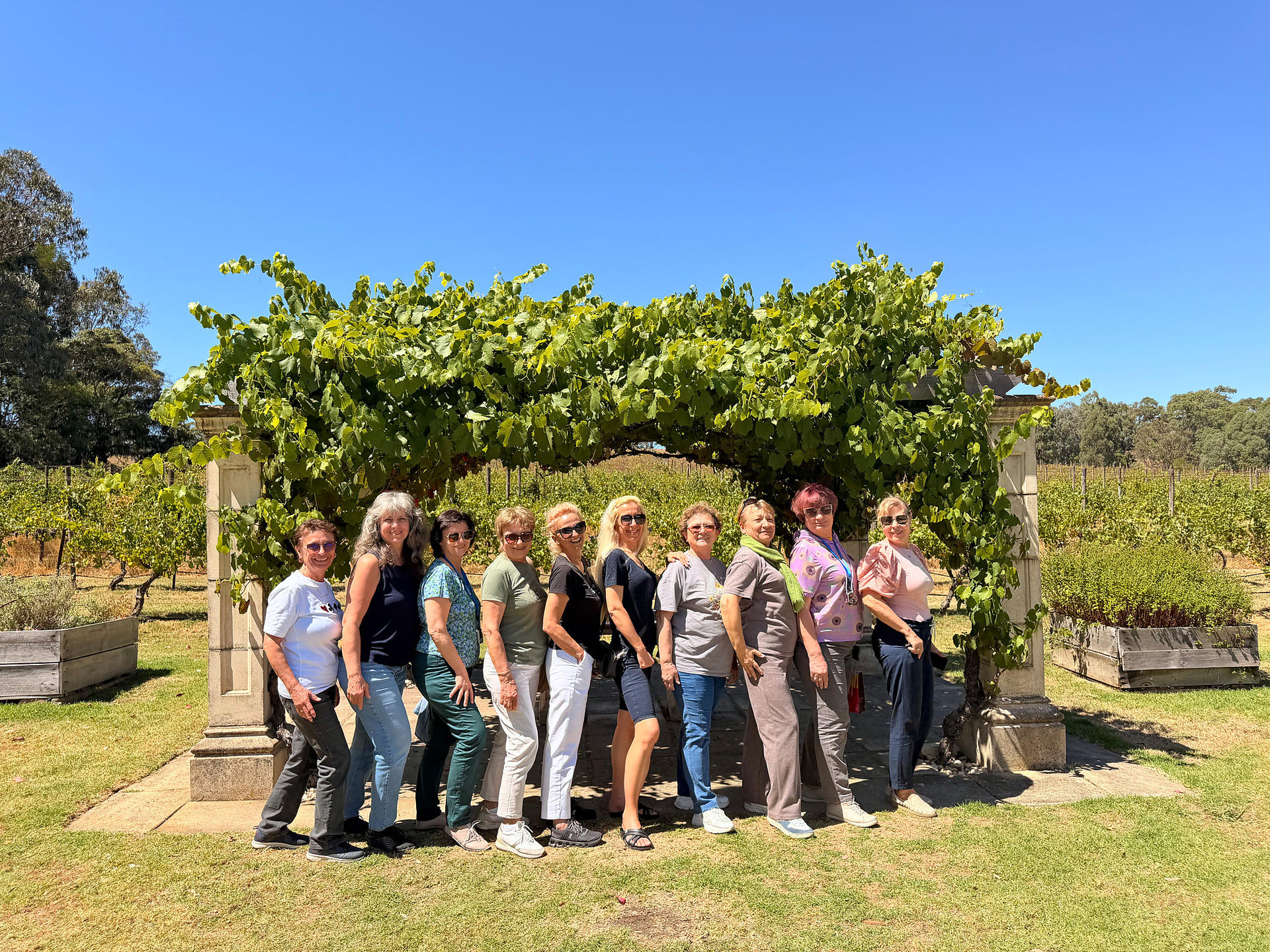 Relaxed Half Day Yarra Valley Wine Tour from Melbourne - Thumbnail 13