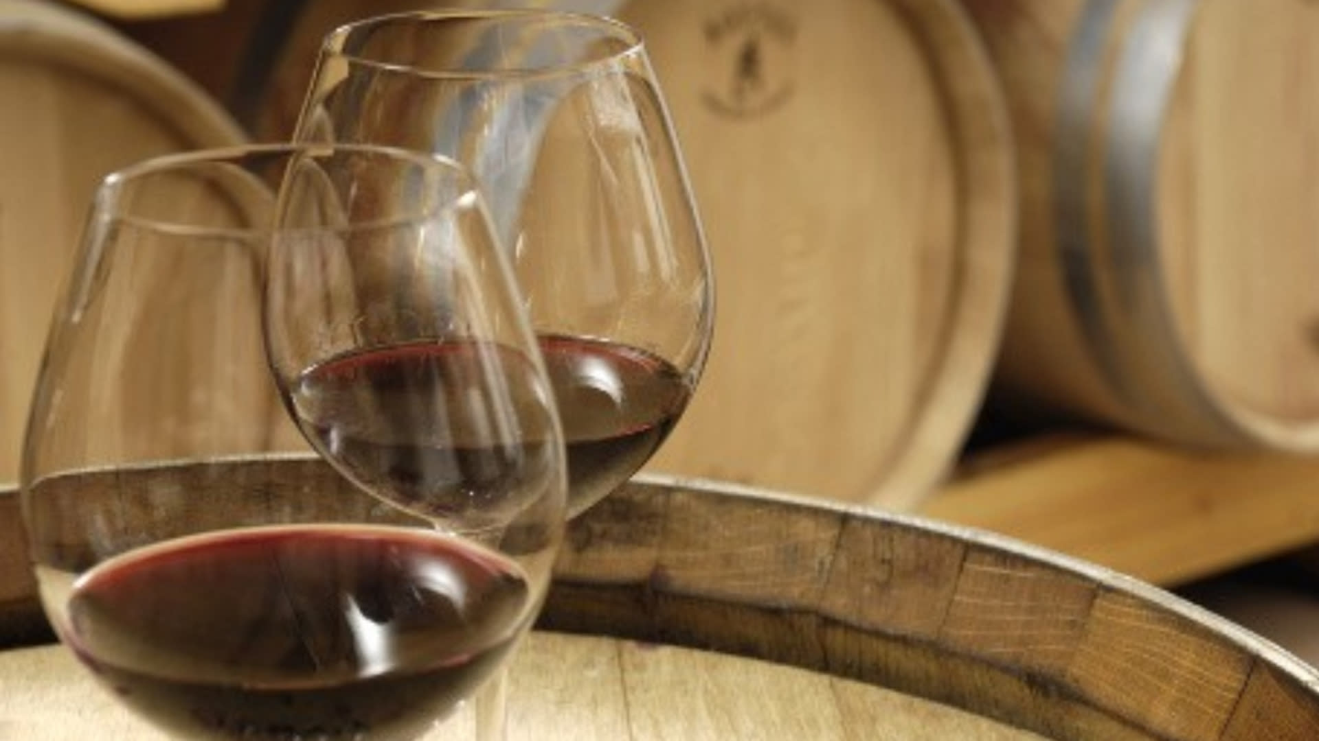 Côte de Provence Wine Tour from Aix-en-Provence - Thumbnail 4