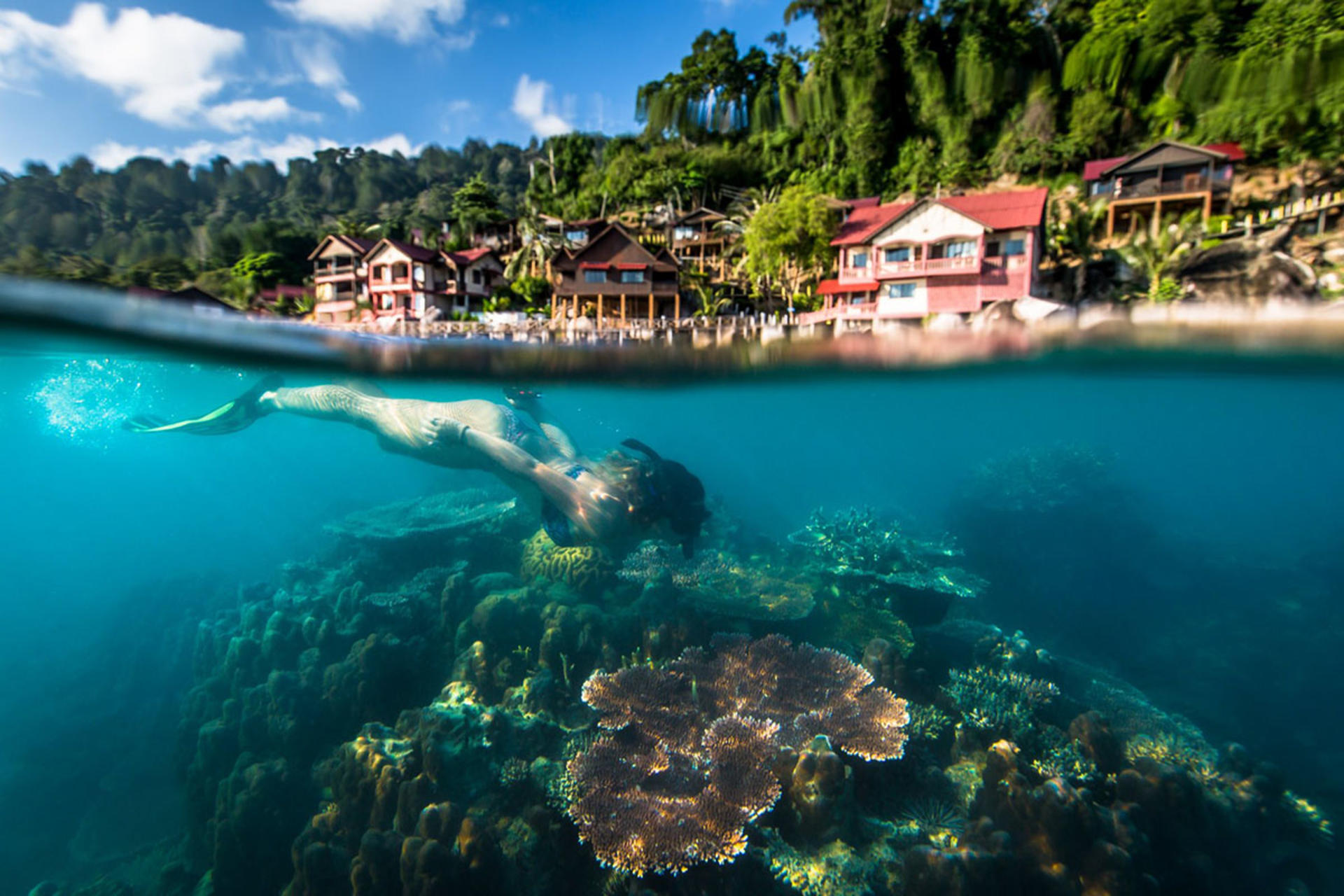 Singapore - Tioman Island Bus & Ferry by Leo City - Thumbnail 5
