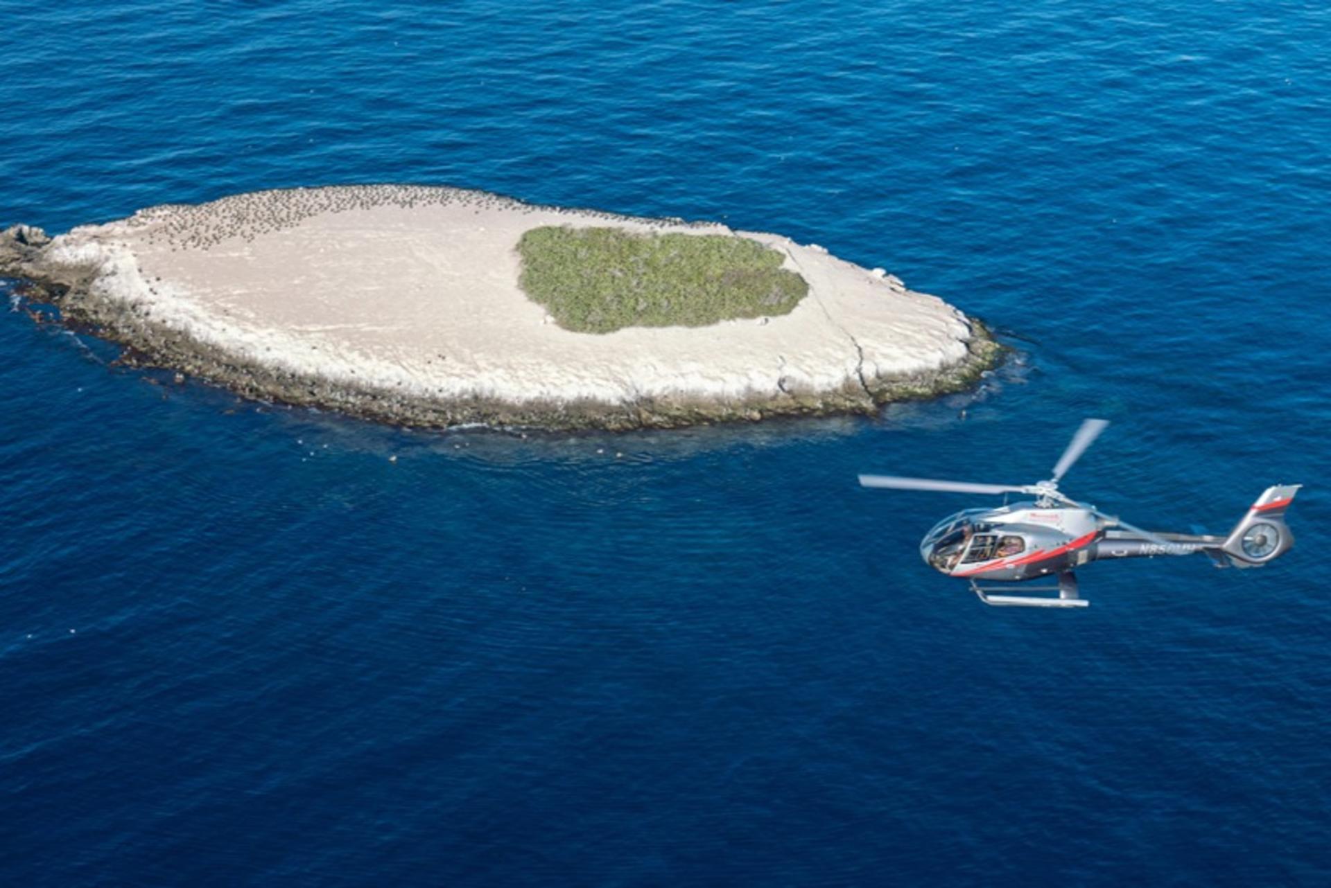 Helicopter Tour in Catalina - Thumbnail 7