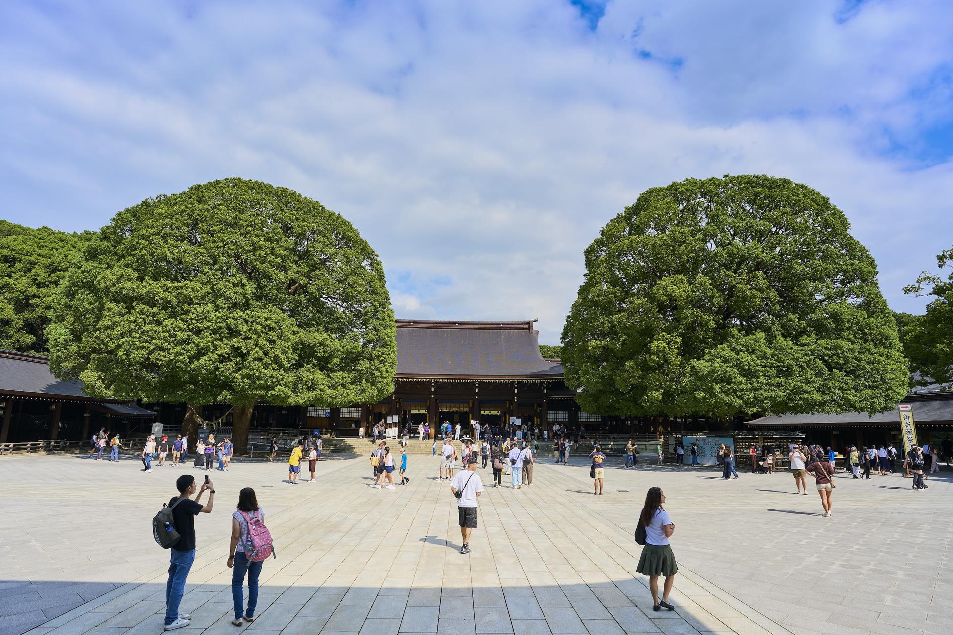 Tokyo: Meiji Shrine Walking Tour - Shintoism & Imperial System - Thumbnail 22
