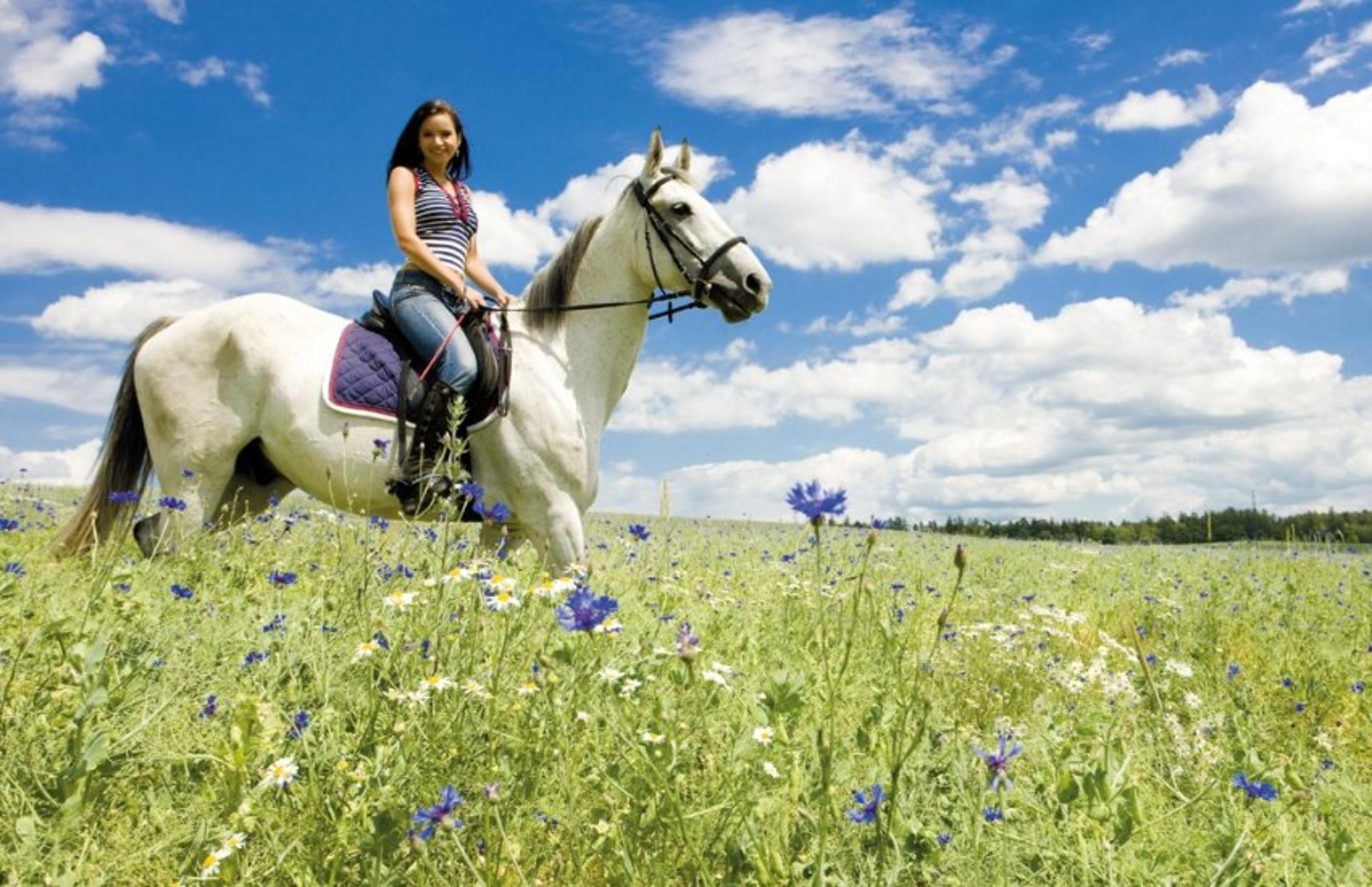 Tuscan Chianti Hills Horseback Riding Tour - Thumbnail 7