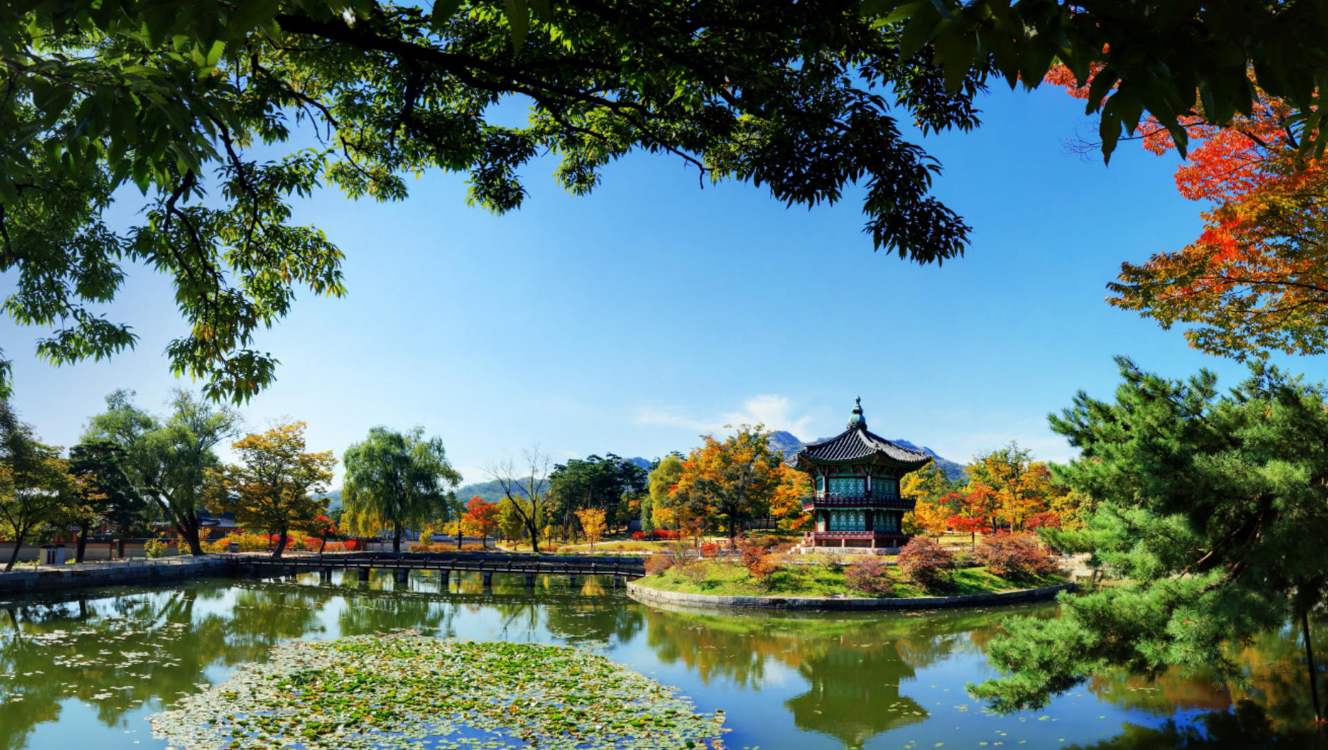 Seoul Gyeongbok Palace Half-Day Small Group Tour - Thumbnail 5