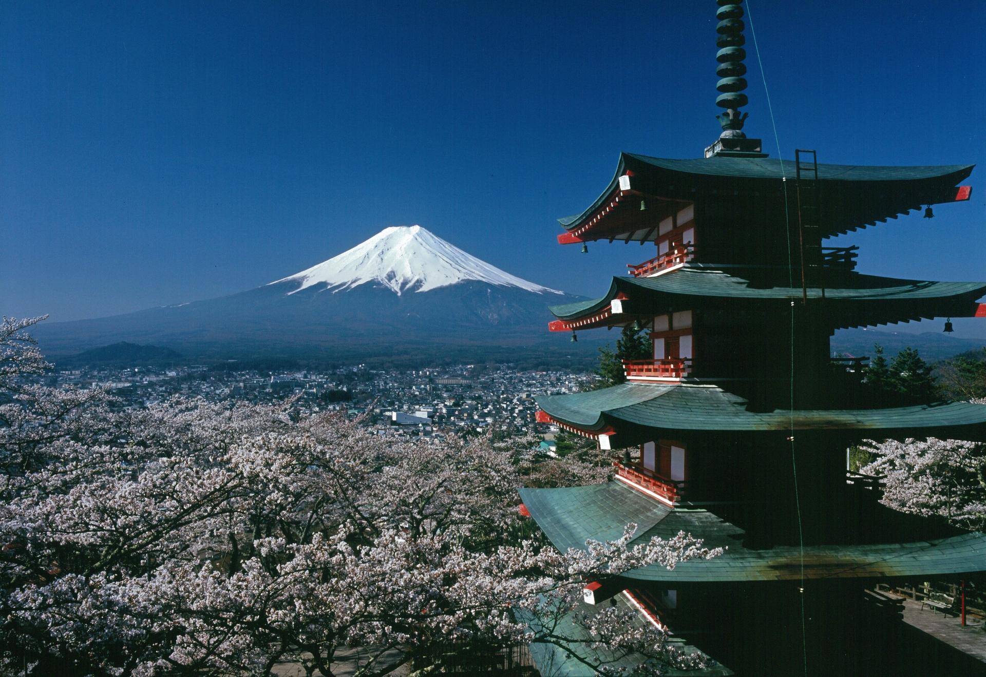 Fuji-Hakone Pass Voucher - Image 1