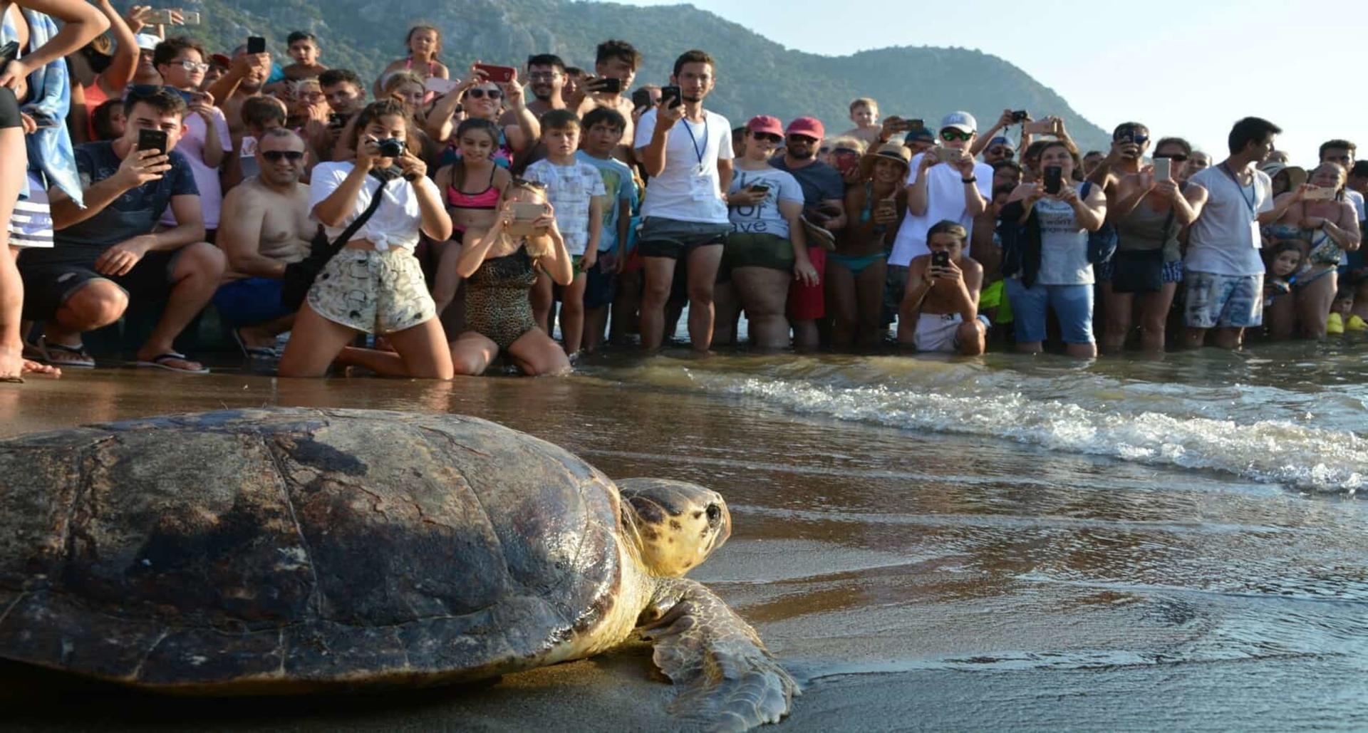 Marmaris Turtle Beach & Mud Bath Full-Day Boat Tour with Transfers - Thumbnail 22