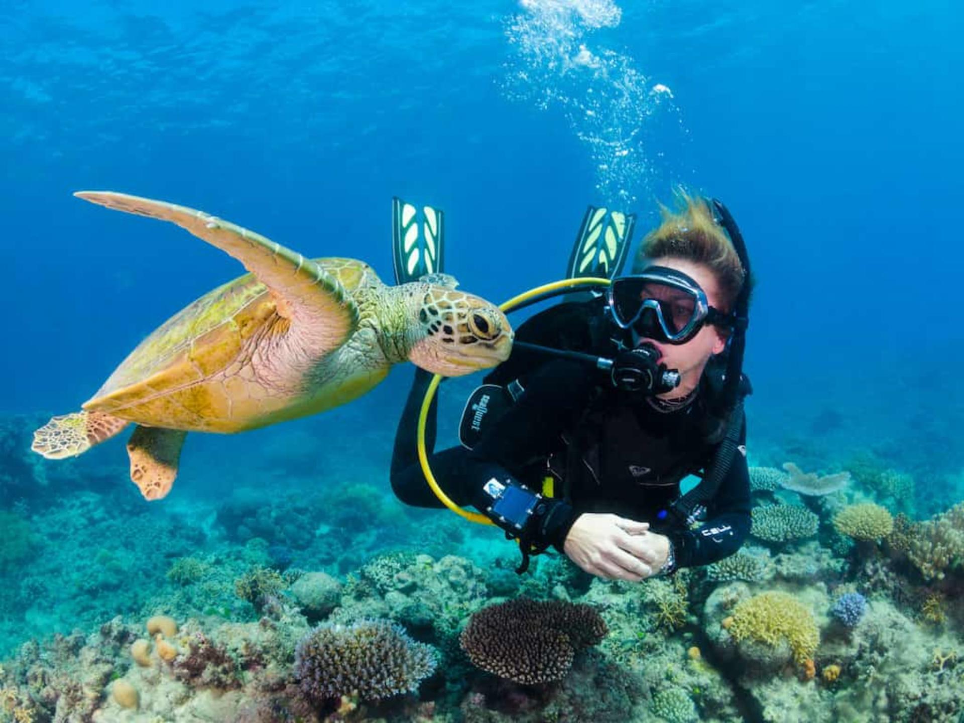 Scuba Diving in Kemer w/Pick Up From Antalya - Image 1