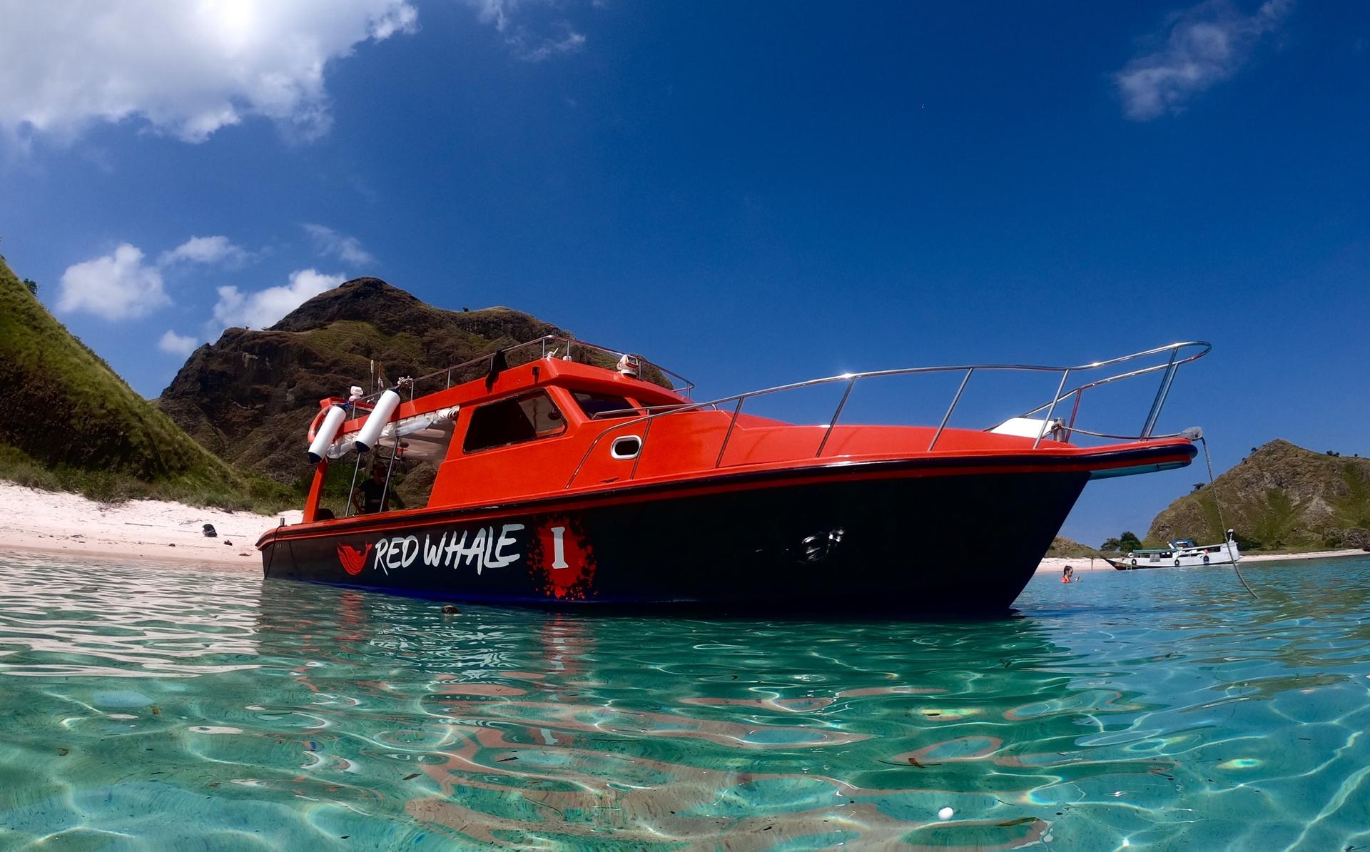 Red Whale Speedboat Full Day Tour from Labuan Bajo - Thumbnail 20