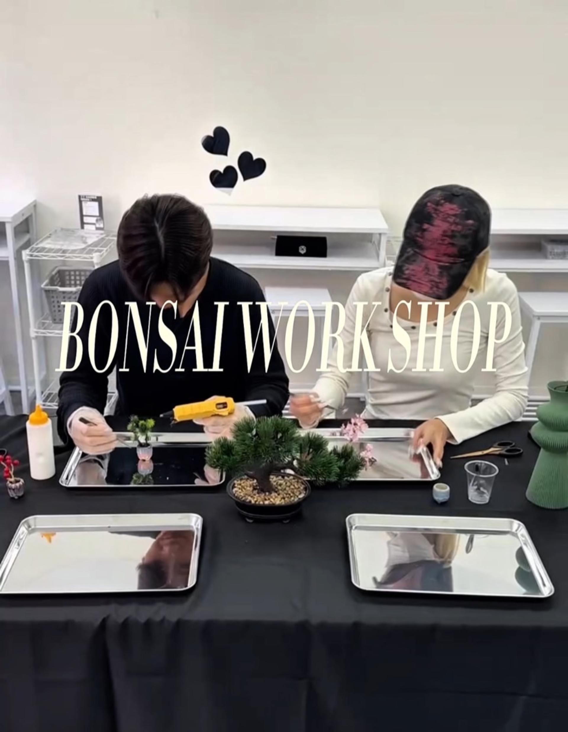 Kyoto:Make Your Own Mini Bonsai Workshop – Take It Home - Thumbnail 3