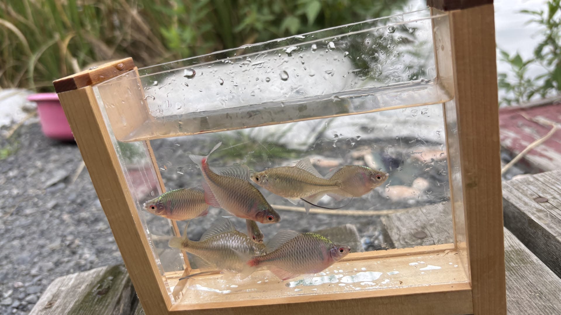 Lampas Outdoor Life: Traditional Japanese Fishing Experience - Thumbnail 16