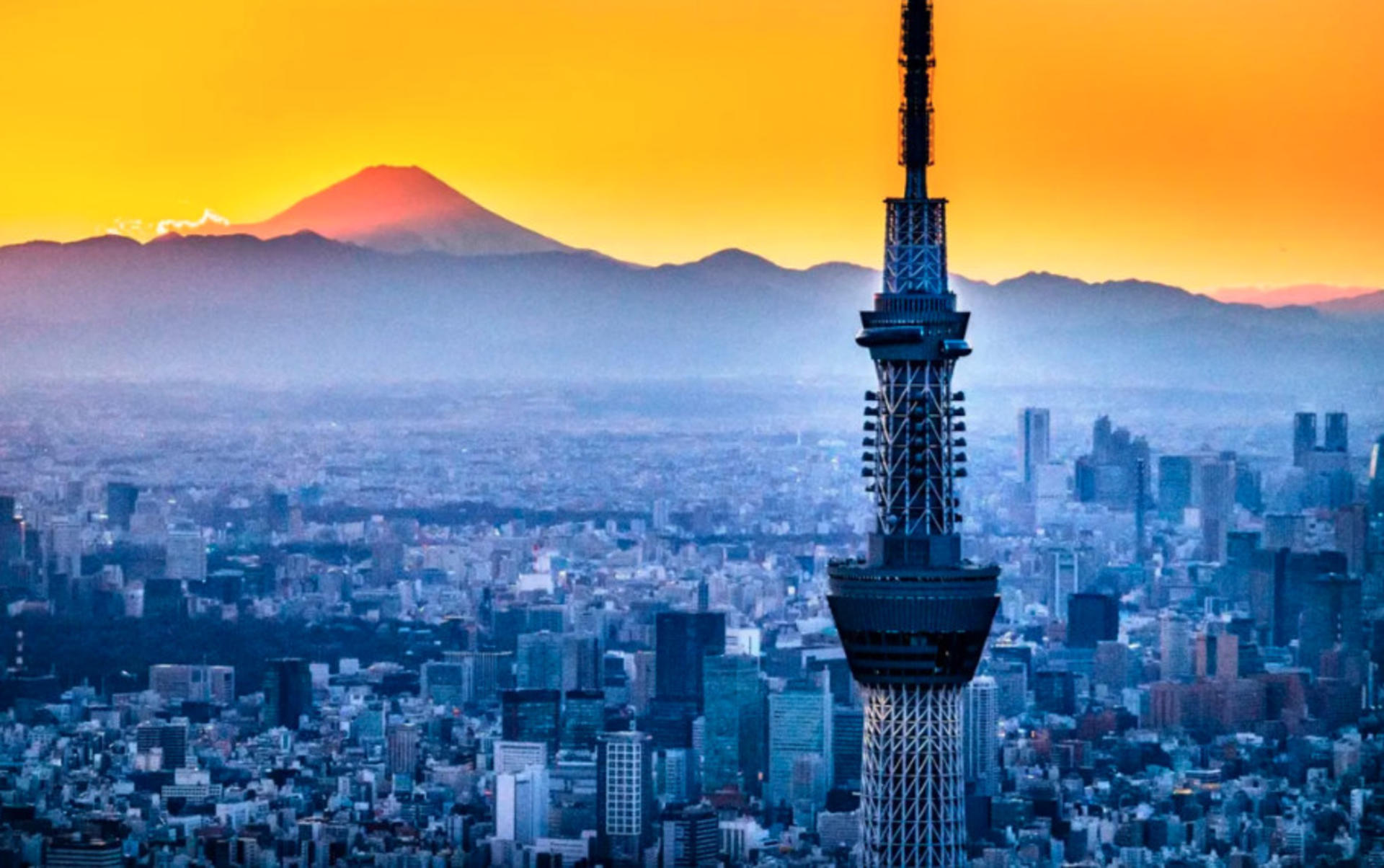Have Fun in Tokyo Pass (with options: Warner Brothers and teamLab Planets Tokyo) - Thumbnail 14