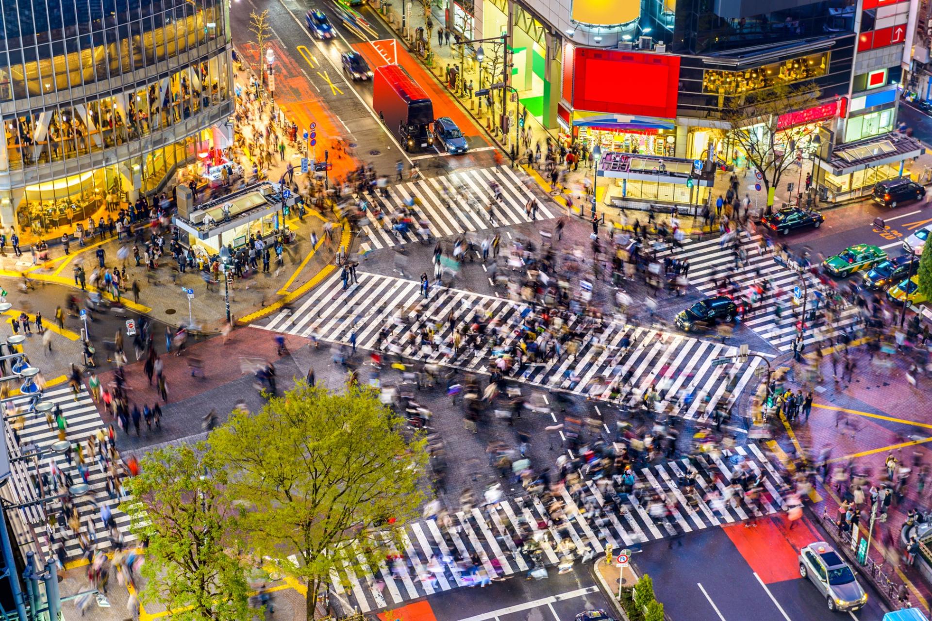 Half-Day Tokyo Afternoon Small Group City Exploration Tour - Thumbnail 2