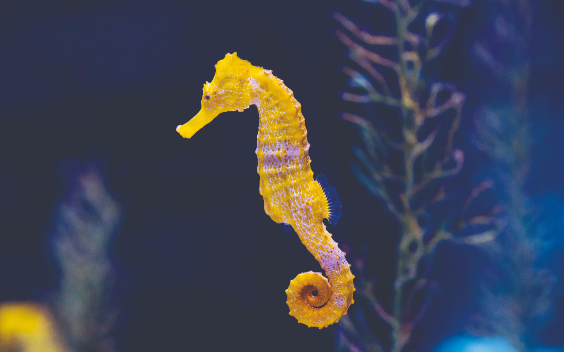 Poema del Mar Aquarium Ticket in Spain - Thumbnail 5