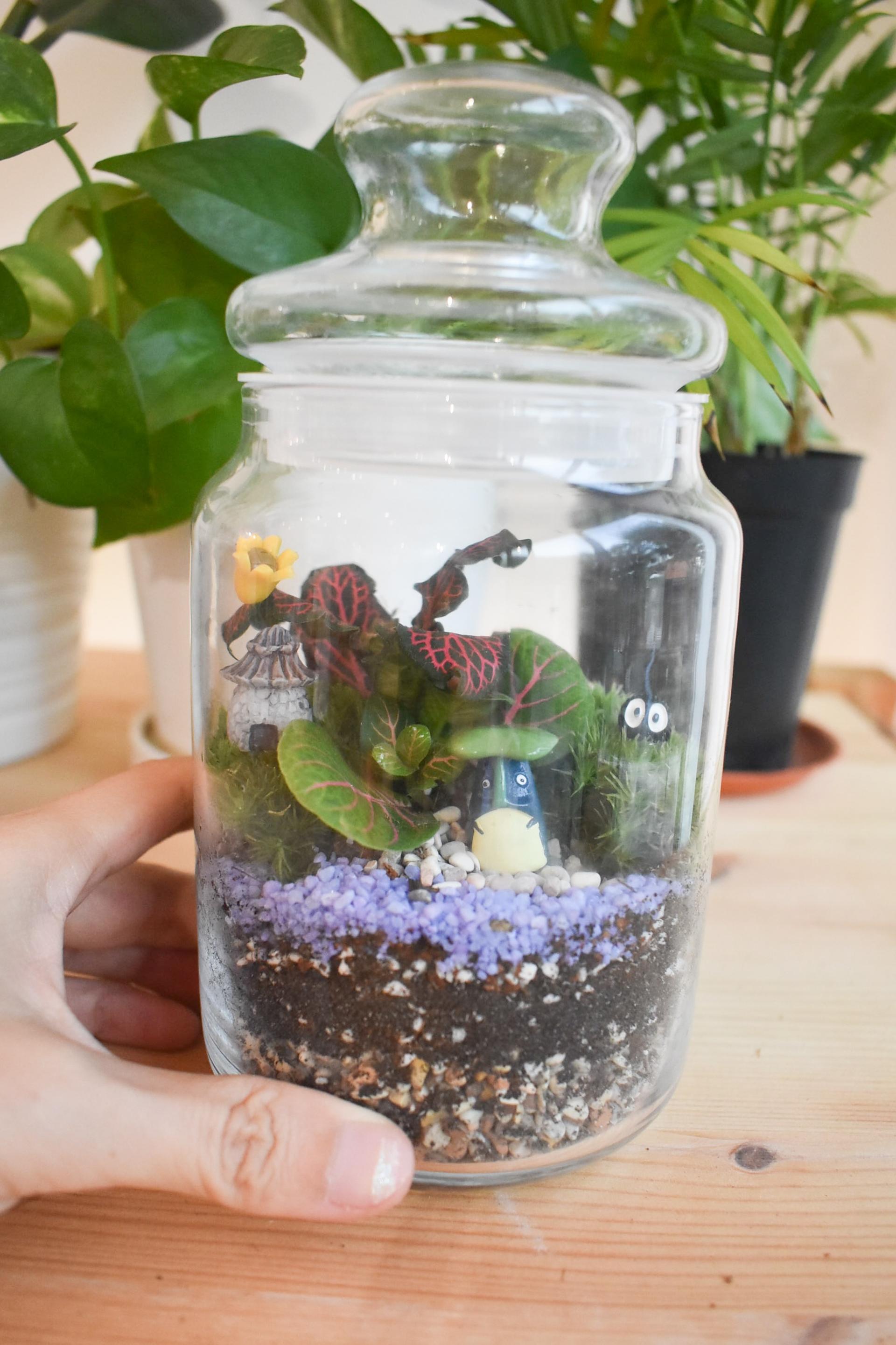 Terrarium Workshop in Marymount - Thumbnail 2