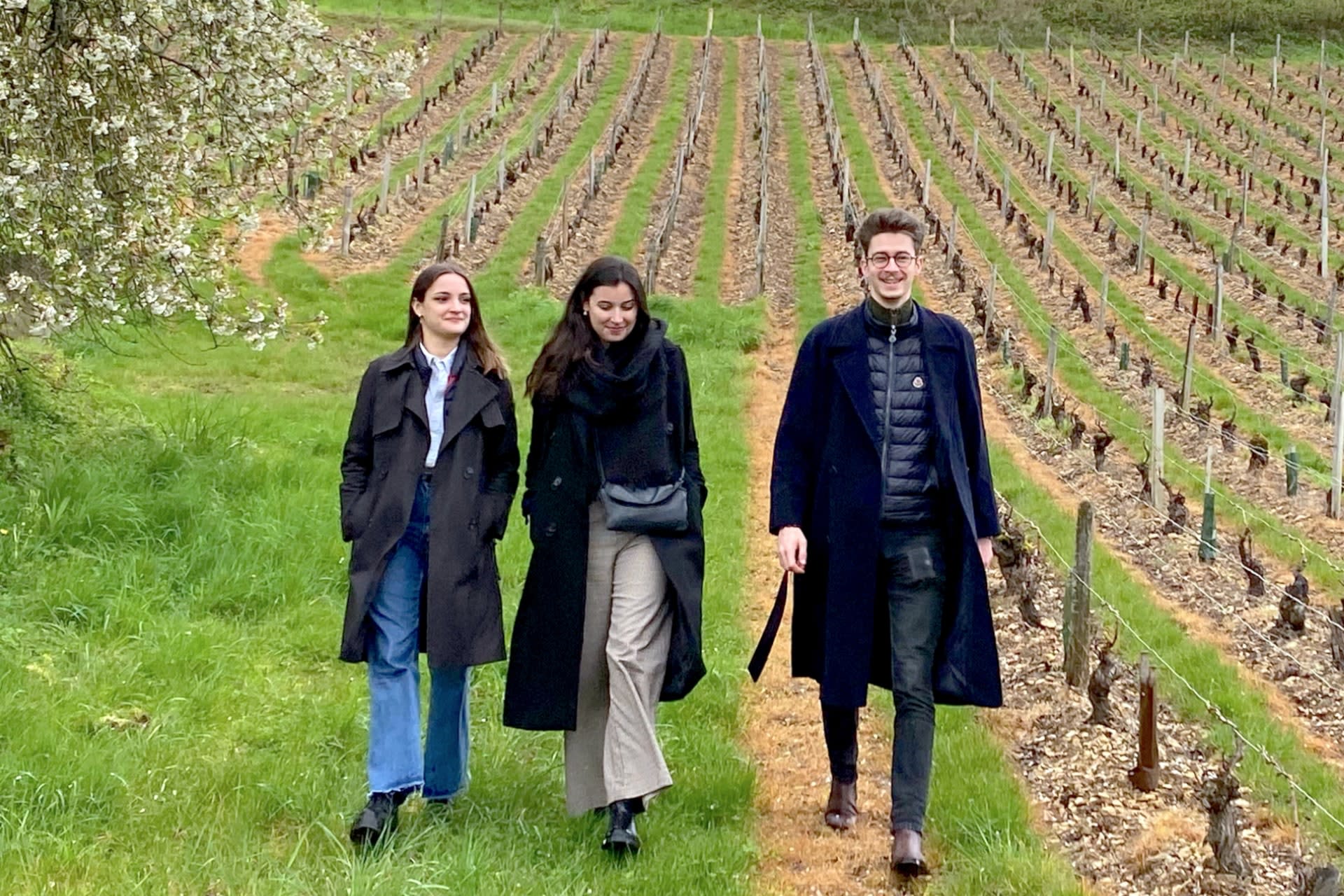 Sancerre Wine Tasting and Lunch Tour from Paris - Thumbnail 3