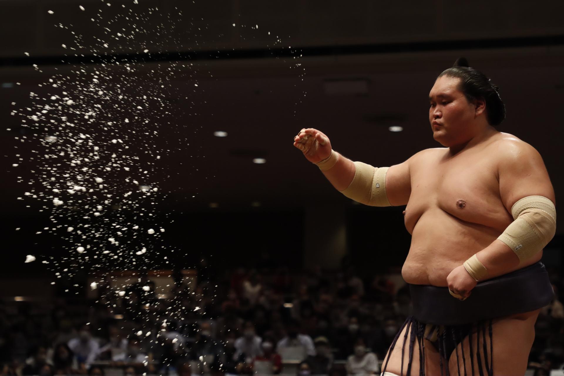 Tokyo Grand Sumo Tournament Viewing (September, 2026) - Thumbnail 15