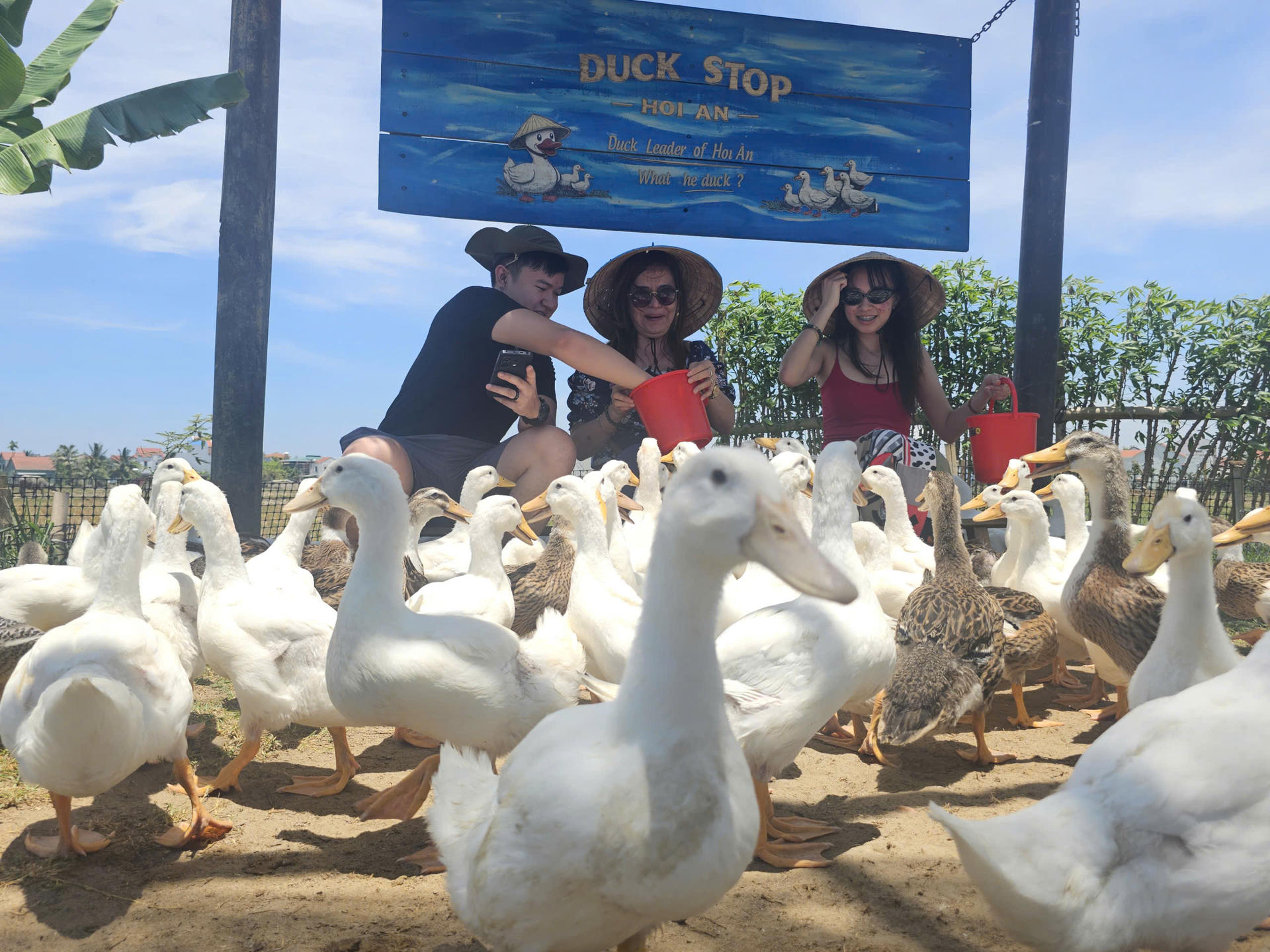 From Hoi An: Duck Stop, Basket Boat and Cooking Class - Thumbnail 3