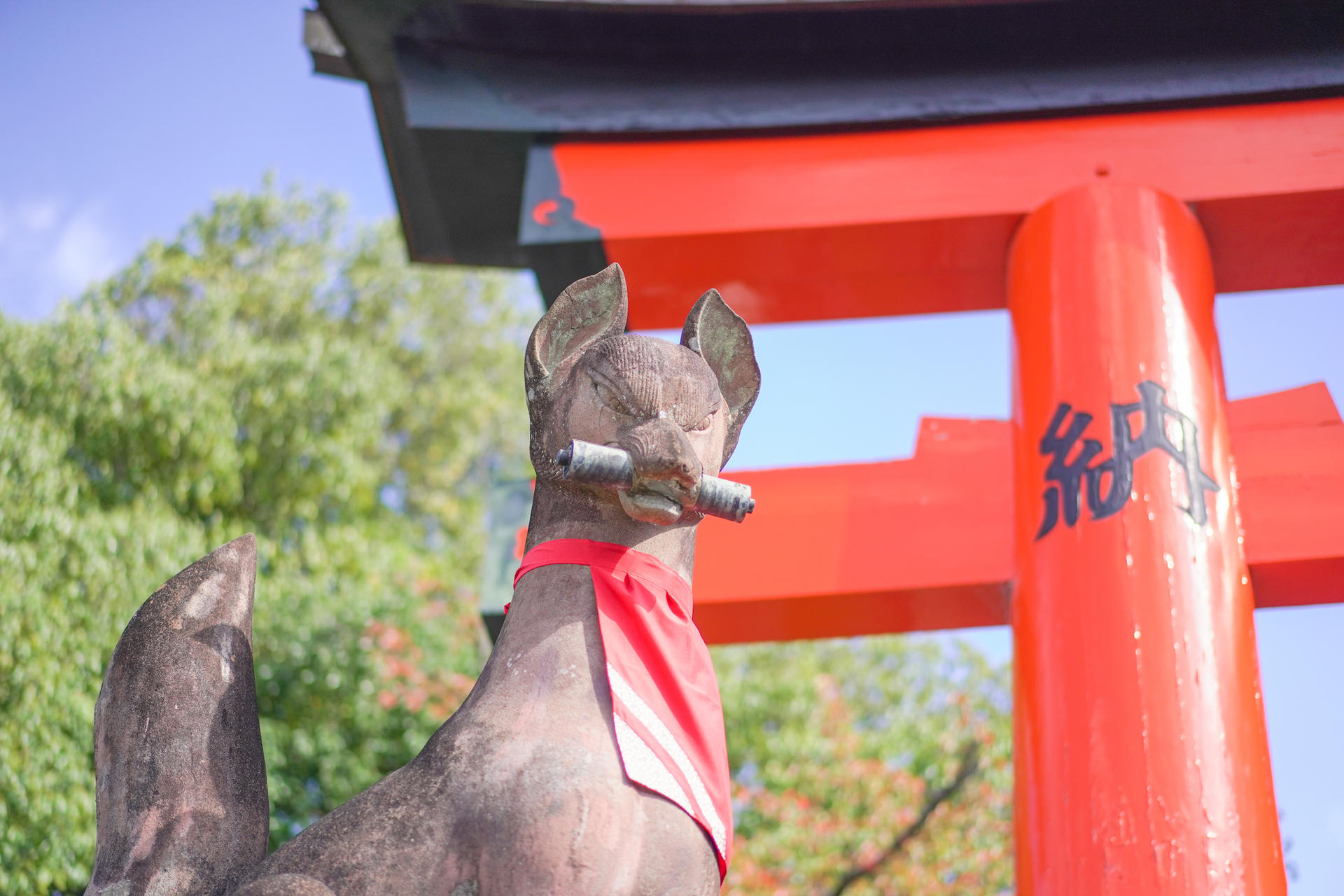 Fushimi Inari Hidden Hiking Tour : Escape the Crowds - Thumbnail 17