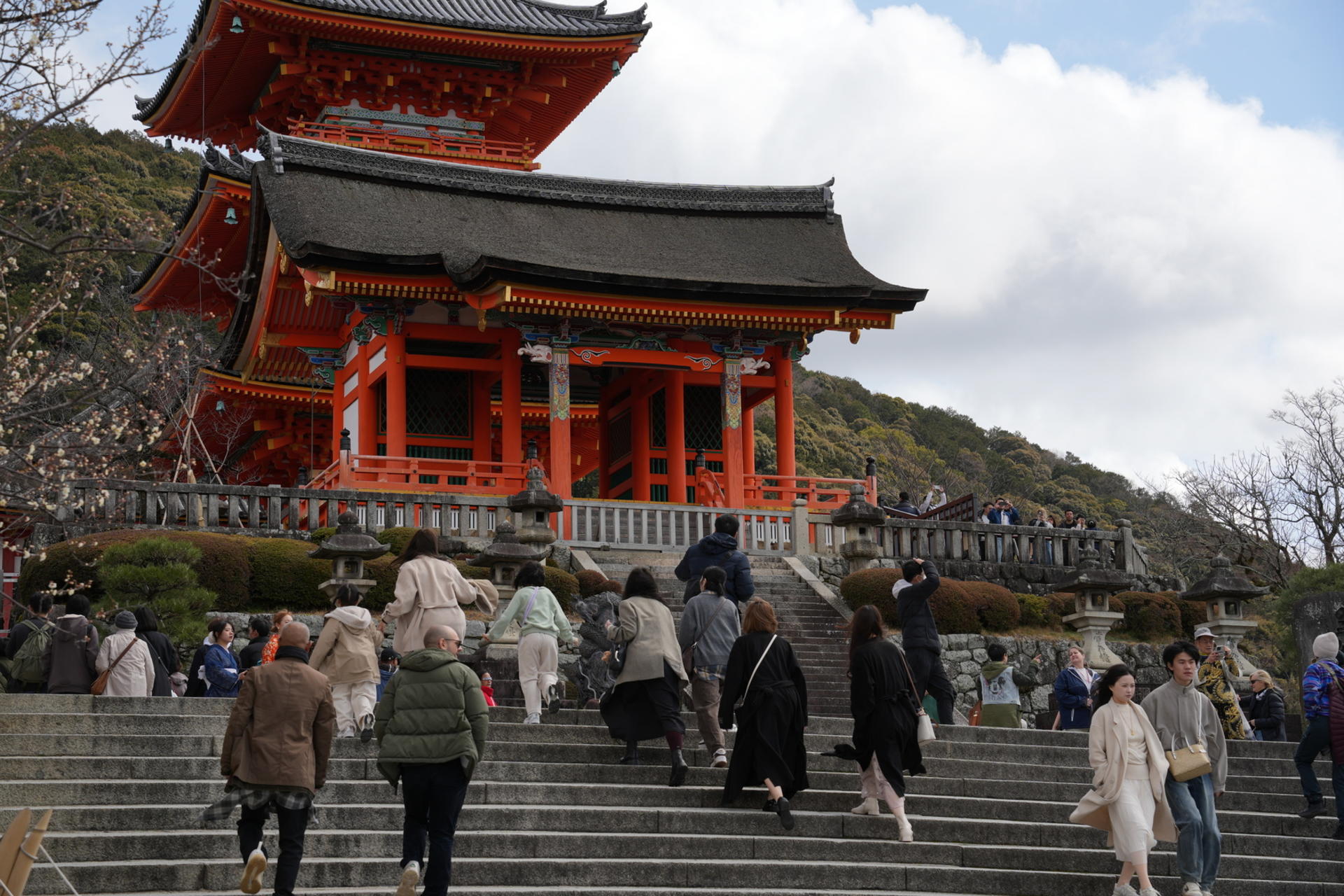 Kyoto: Nijo, Bamboo Grove, Golden Pavilion & Fushimi Inari Bus Tour - Thumbnail 14