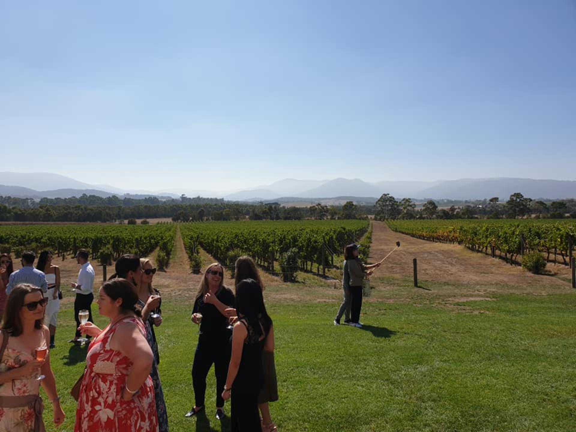 Melbourne: Private Yarra Valley Winery & Healesville Sanctuary Tours - Thumbnail 14