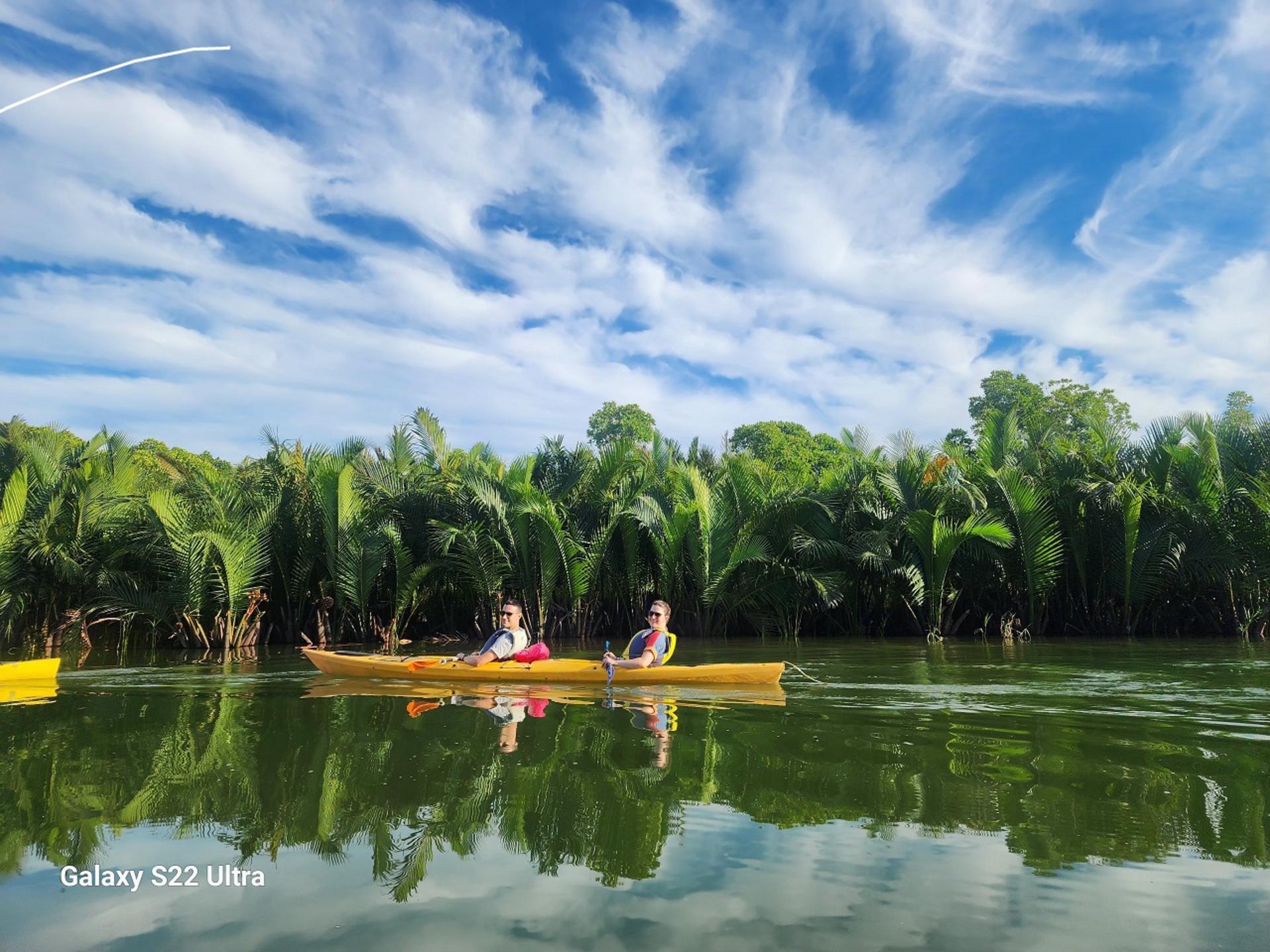 Kayaking Adventure from Old Town to the Mangrove Forest - Thumbnail 3