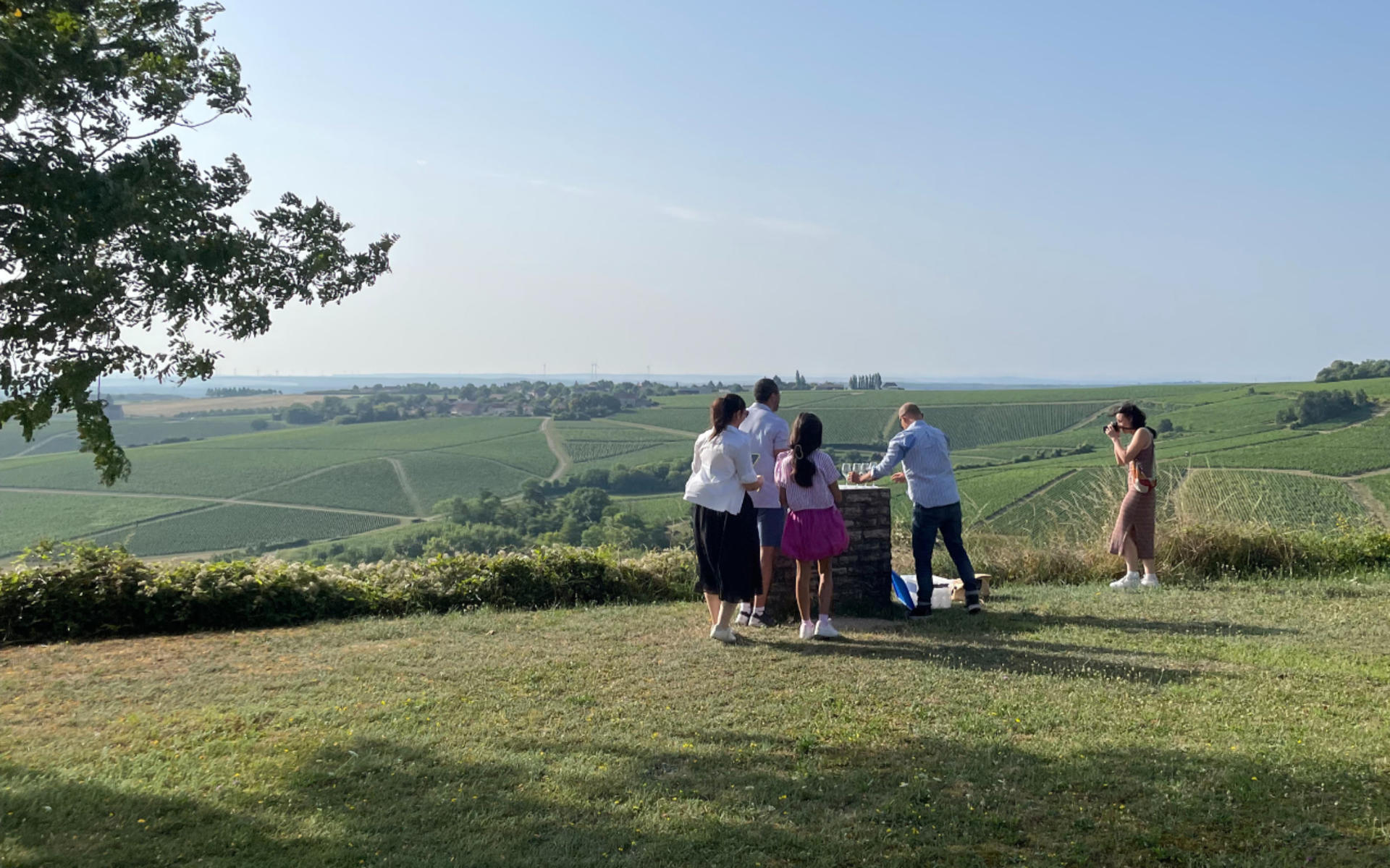 Chablis Day Trip From Paris with Wine Tasting & Lunch - Thumbnail 3