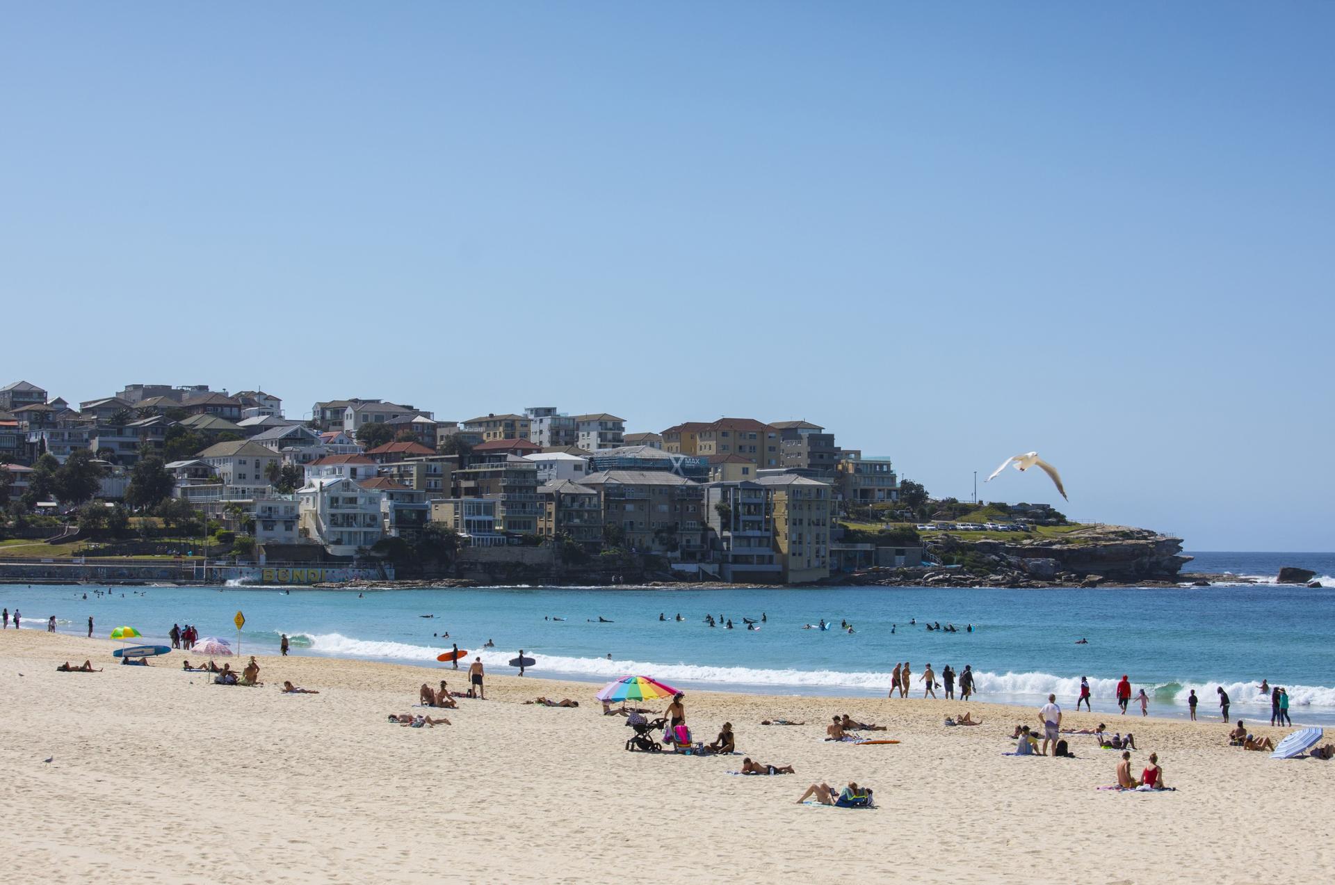 Sydney Sightseeing Including Bondi Beach Half-Day Tour - Thumbnail 4