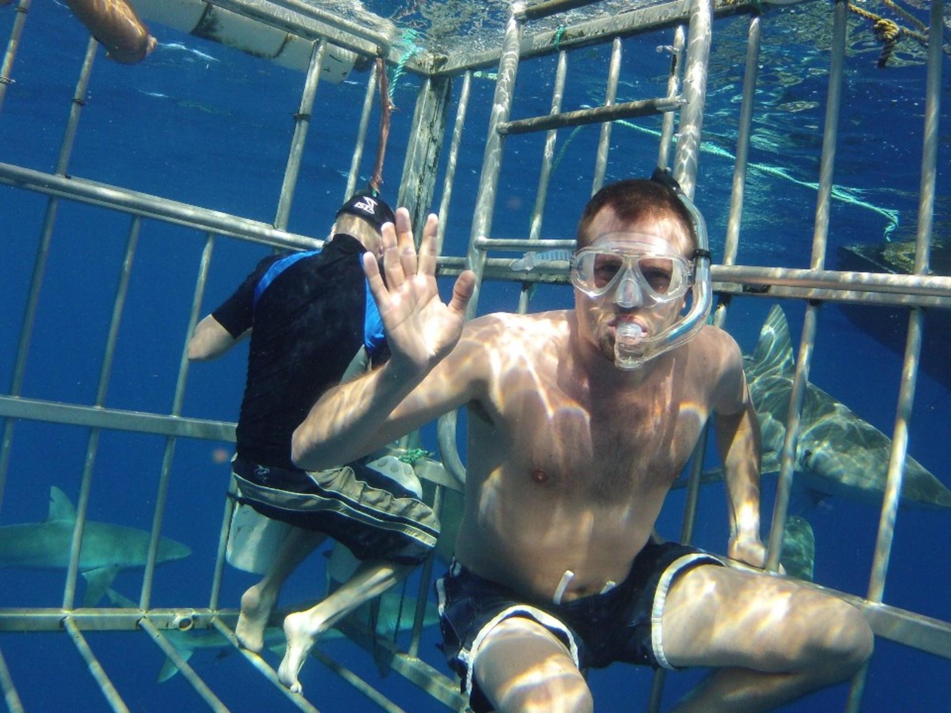North Shore Shark Cage Diving Adventure in Oahu - Thumbnail 3