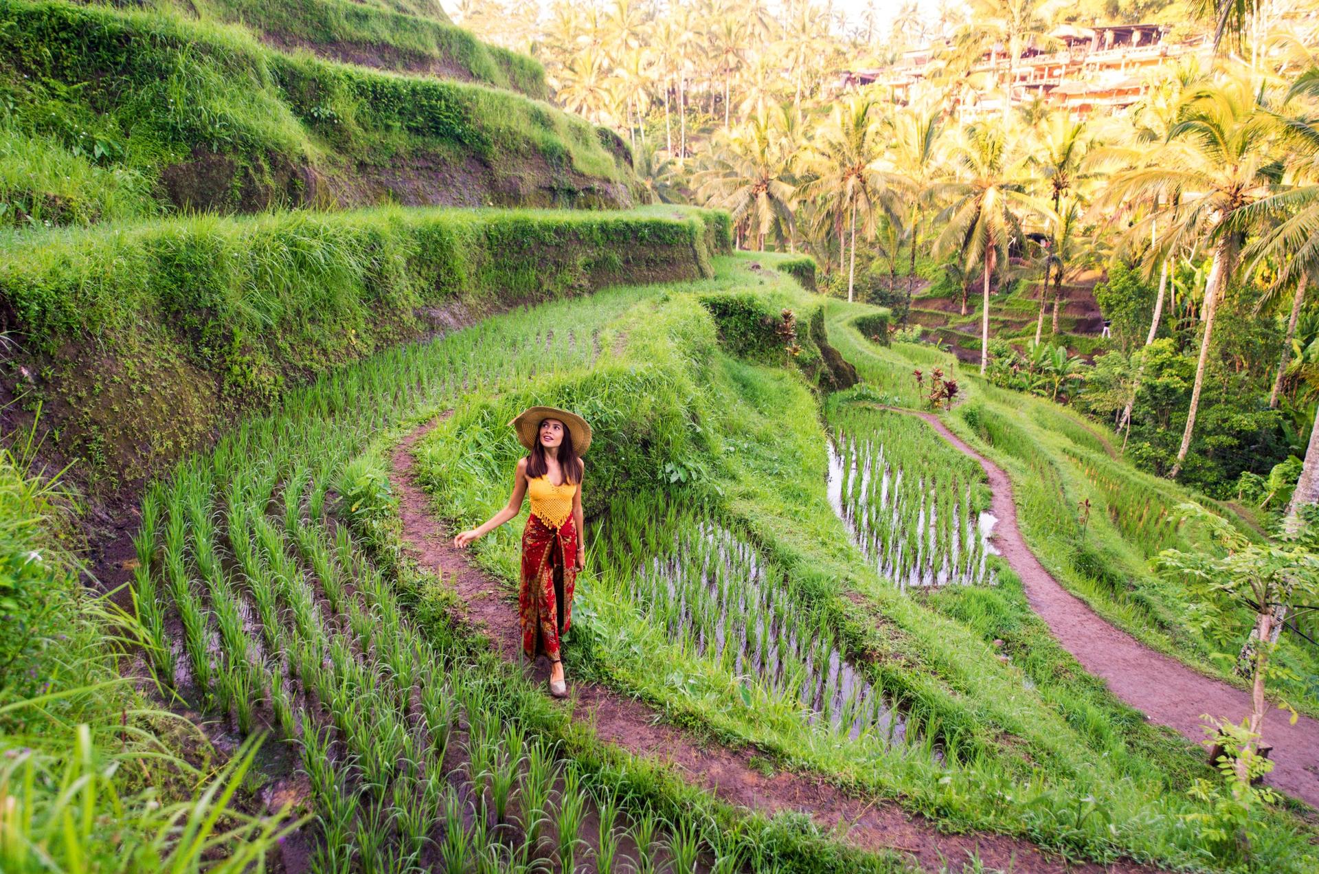 Yoga Experience at The Yoga Barn and Food Tour in Ubud - Thumbnail 10