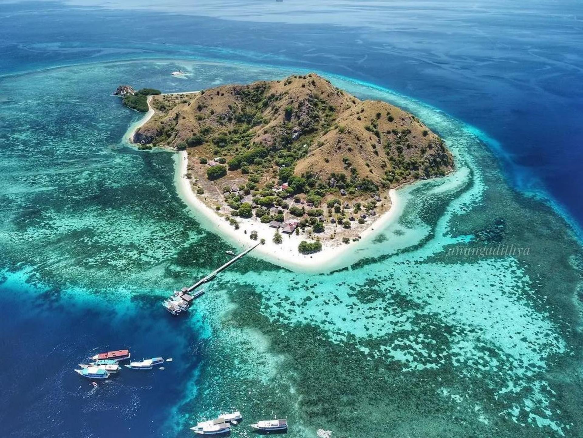 Labuan Bajo Komodo National Park Full-Day National Park Experience - Thumbnail 12