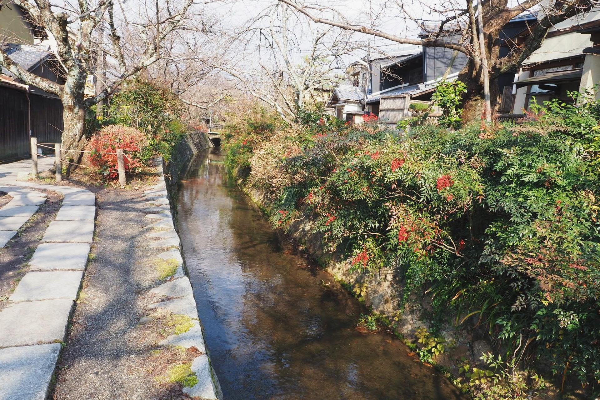 Kyoto Highlights: World Heritage Half Day Tour - Thumbnail 10