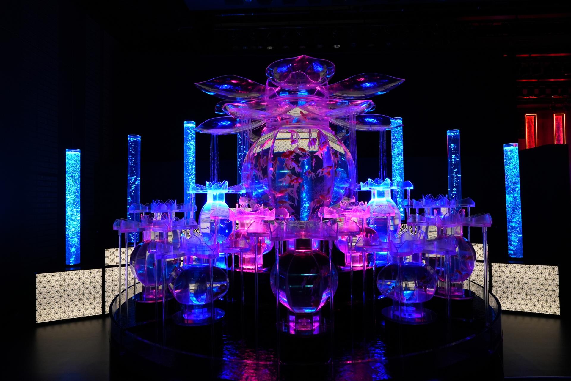 Art Aquarium Exhibition in Nagoya - Thumbnail 3