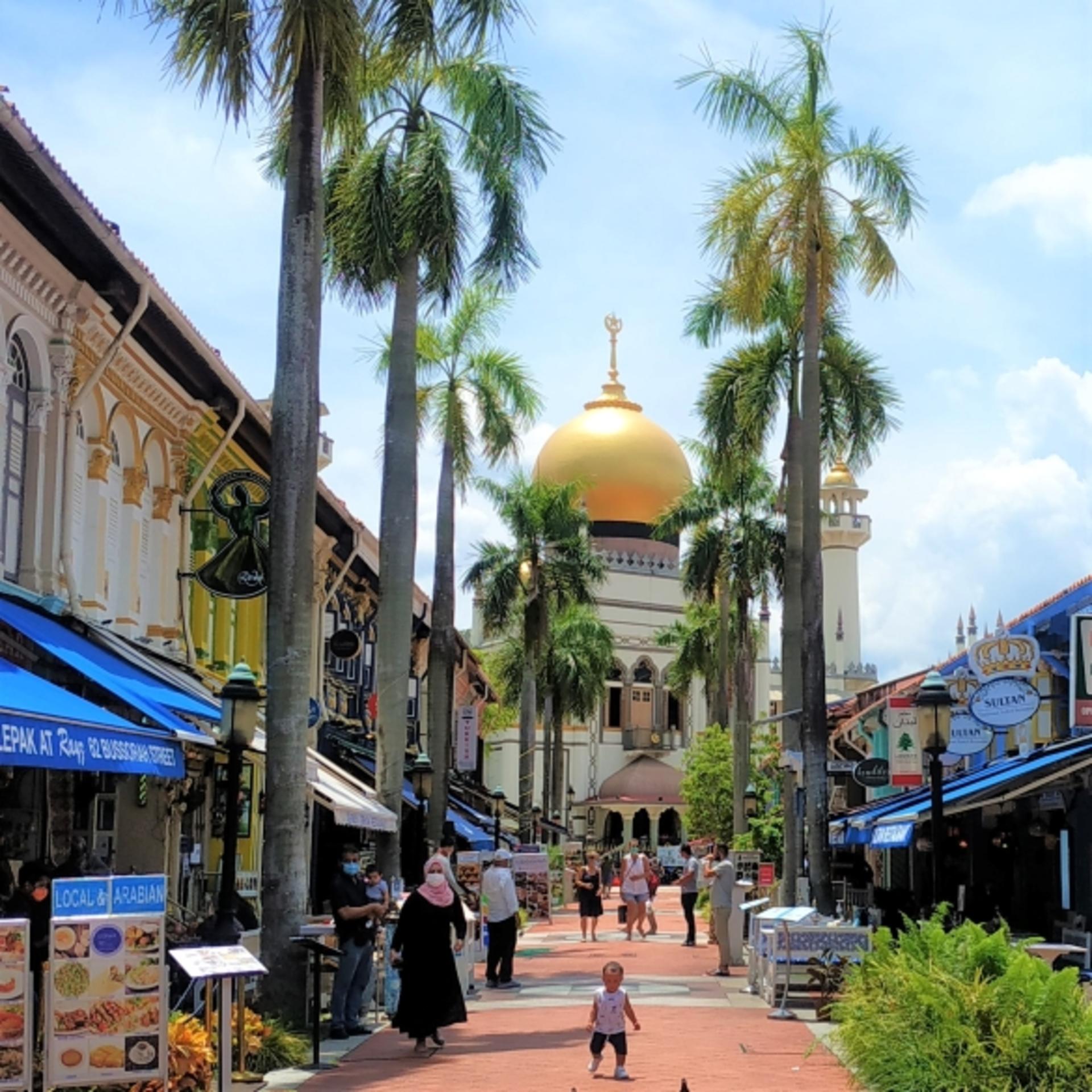 Singapore Half-Day City Highlights Tour - Image 1