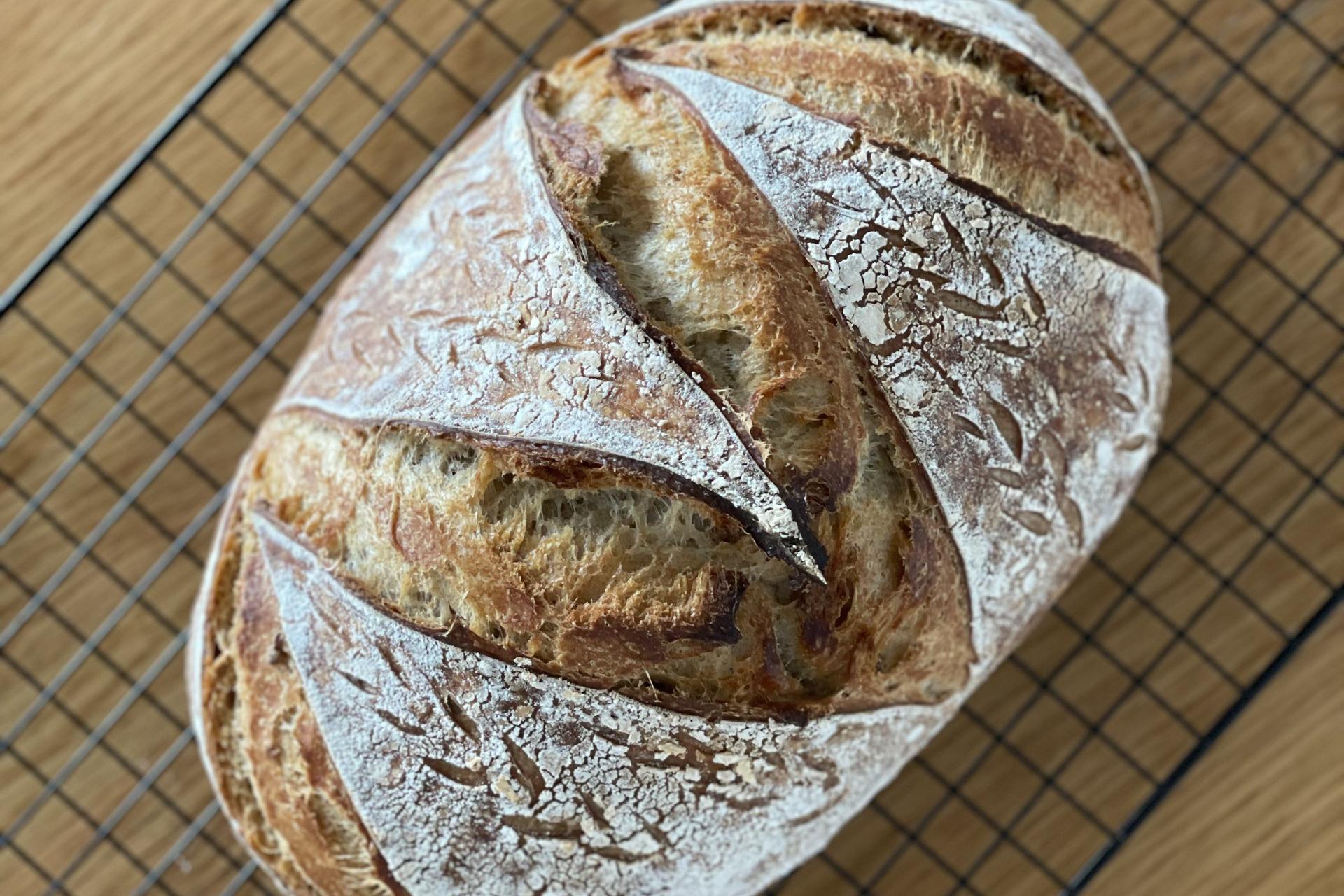 The First Loaf: Beginner Sourdough Workshop - Thumbnail 11