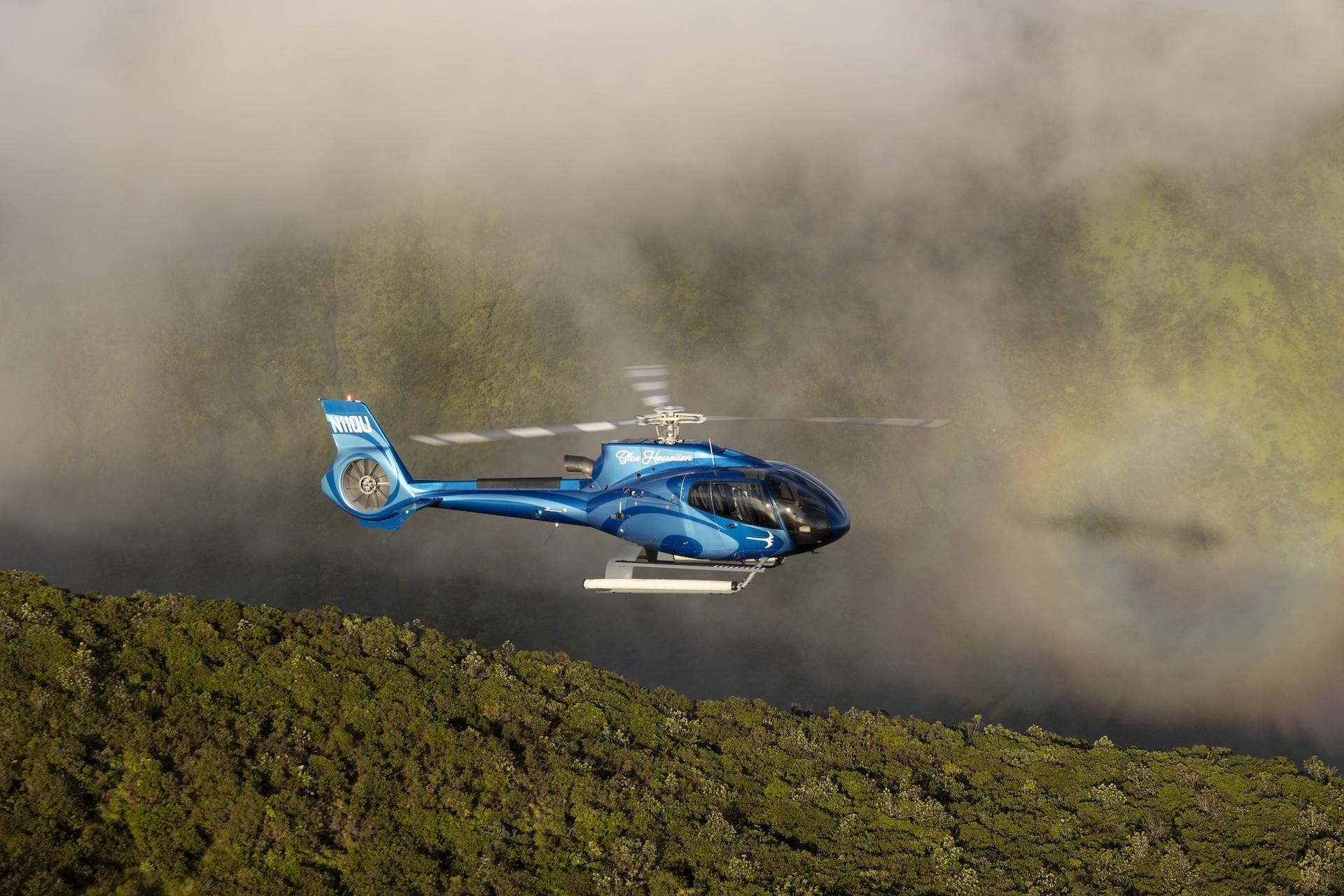 Hilo Waterfall Tour with Blue Hawaiian Helicopters - Thumbnail 3