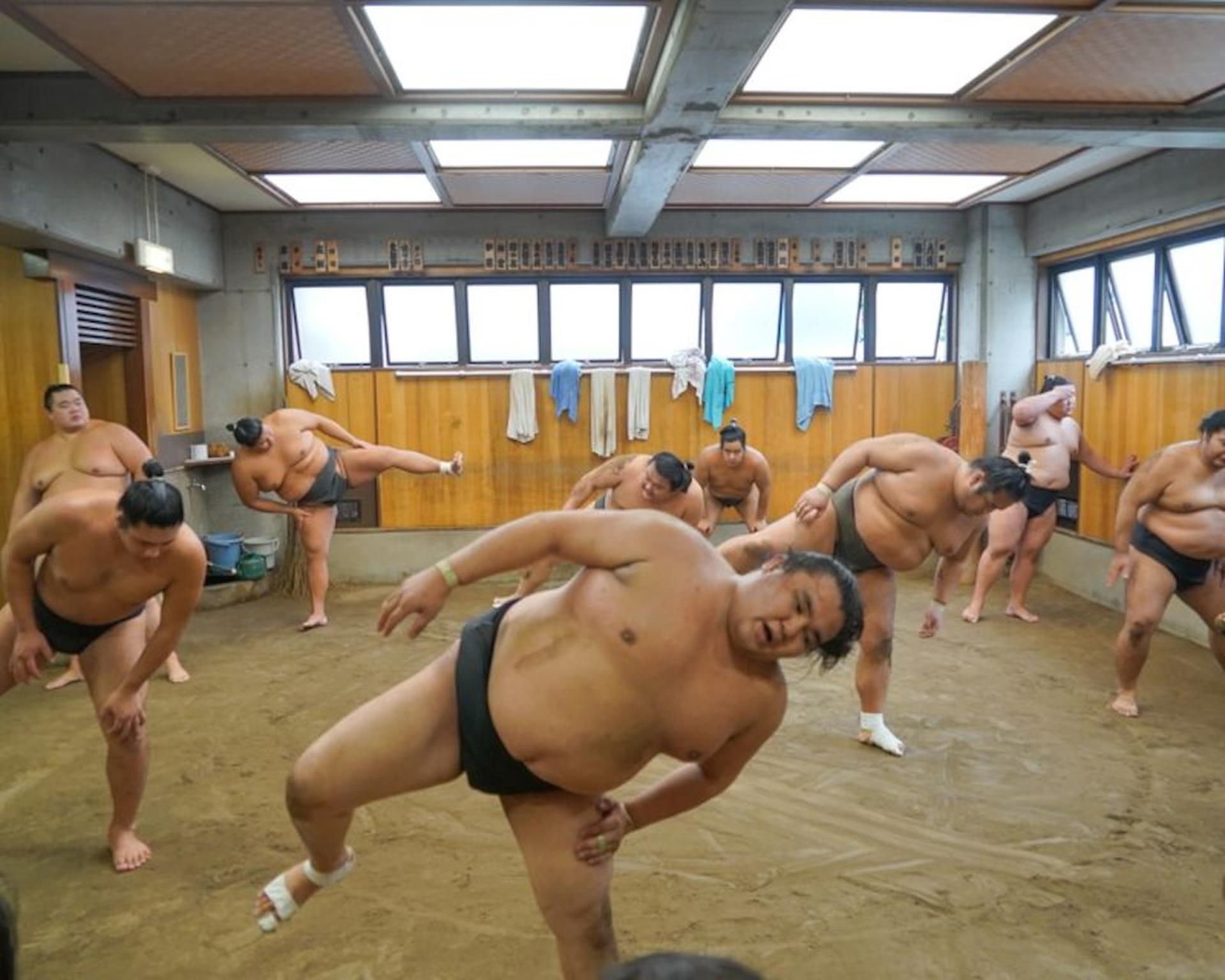 Tokyo Sumo Morning Practice Tour with Ring-Side Seats + Photo Shoot - Thumbnail 5
