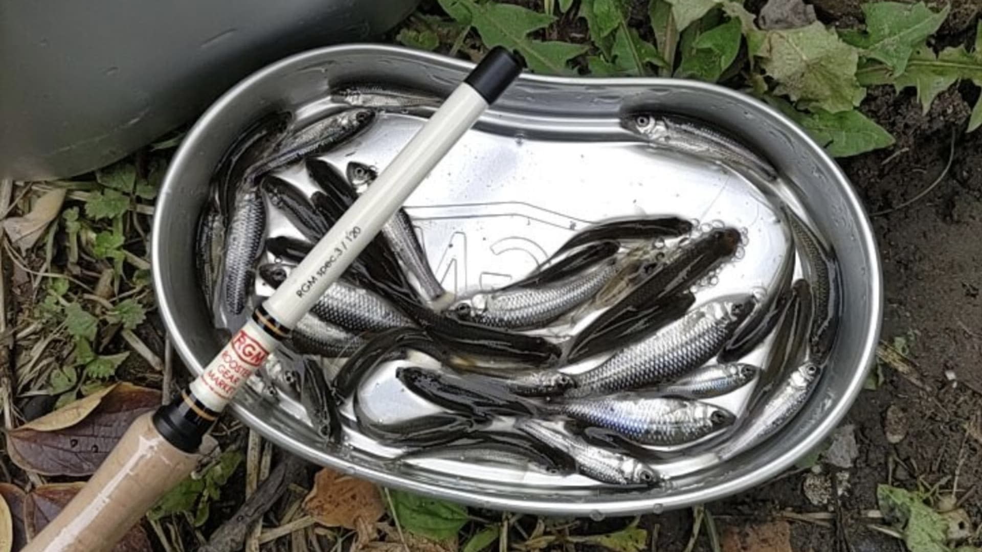 Lampas Outdoor Life: Traditional Japanese Fishing Experience - Thumbnail 24