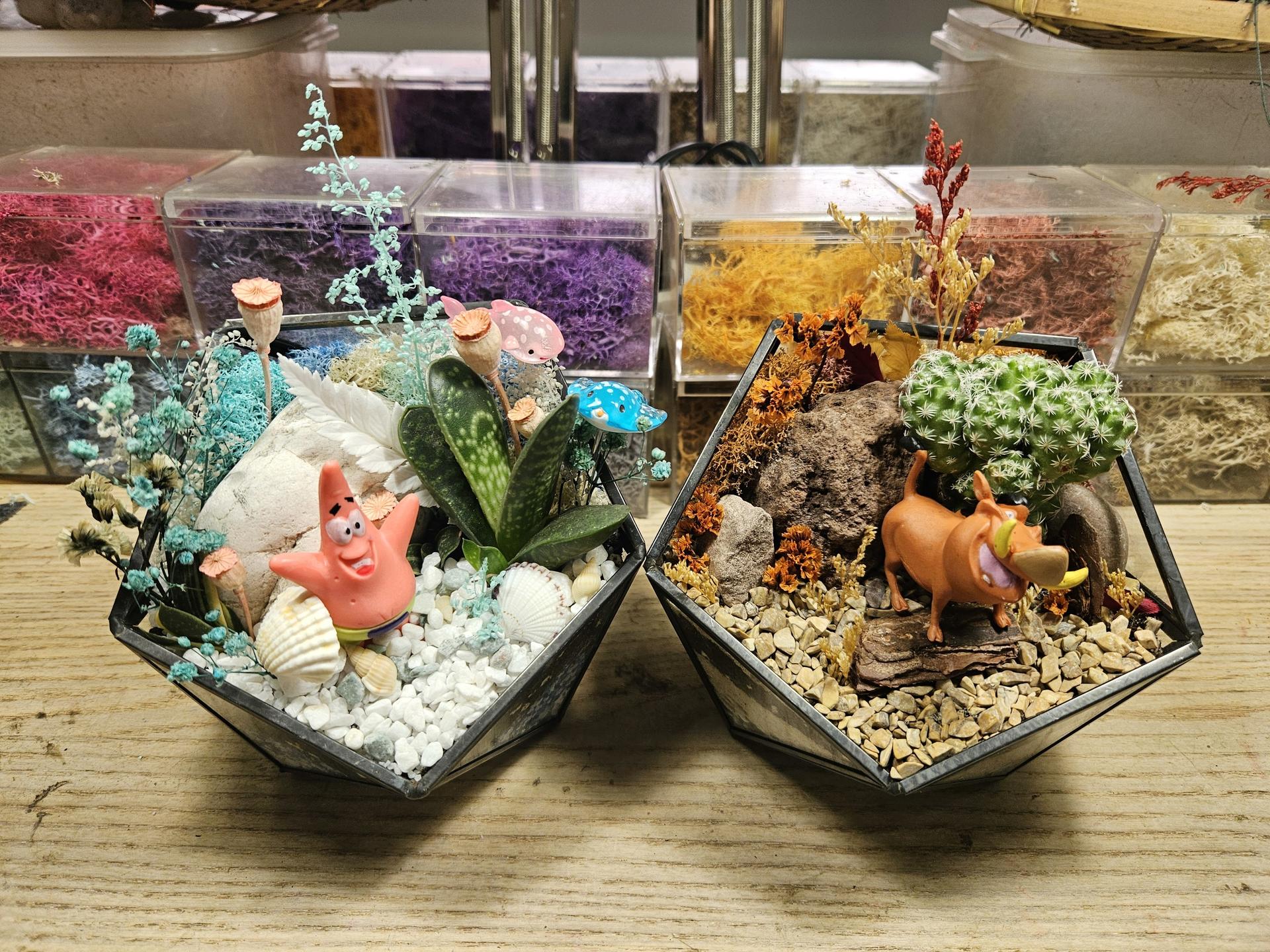 Open Terrarium and Moss Art Workshop in Singapore by SPPFY STUDIO - Image 1