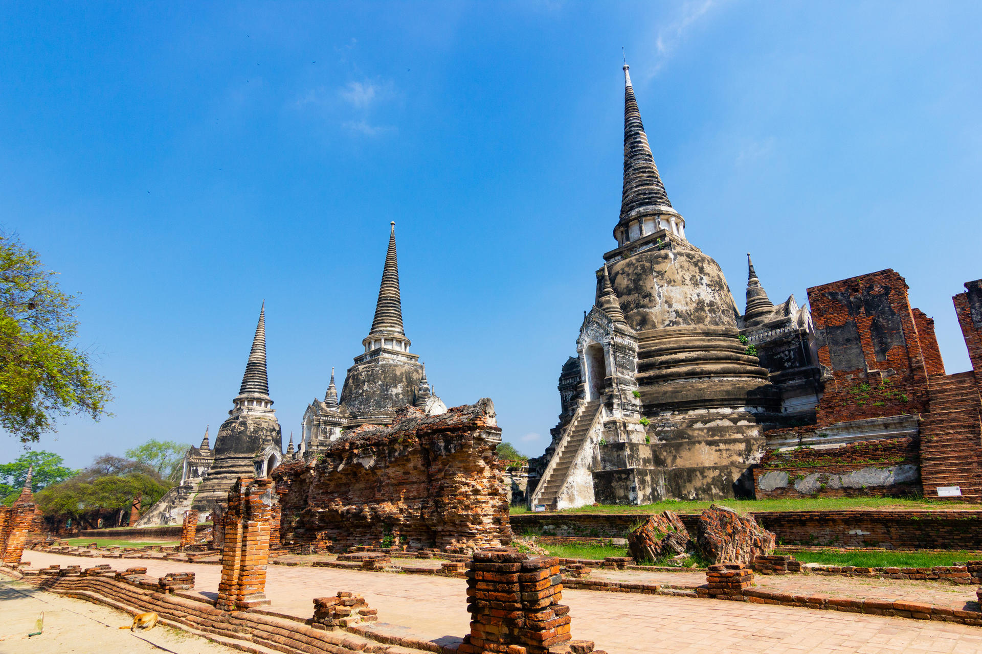 Half Day Ayutthaya Must-Visit UNESCO World Heritage Temples Tour - Thumbnail 5