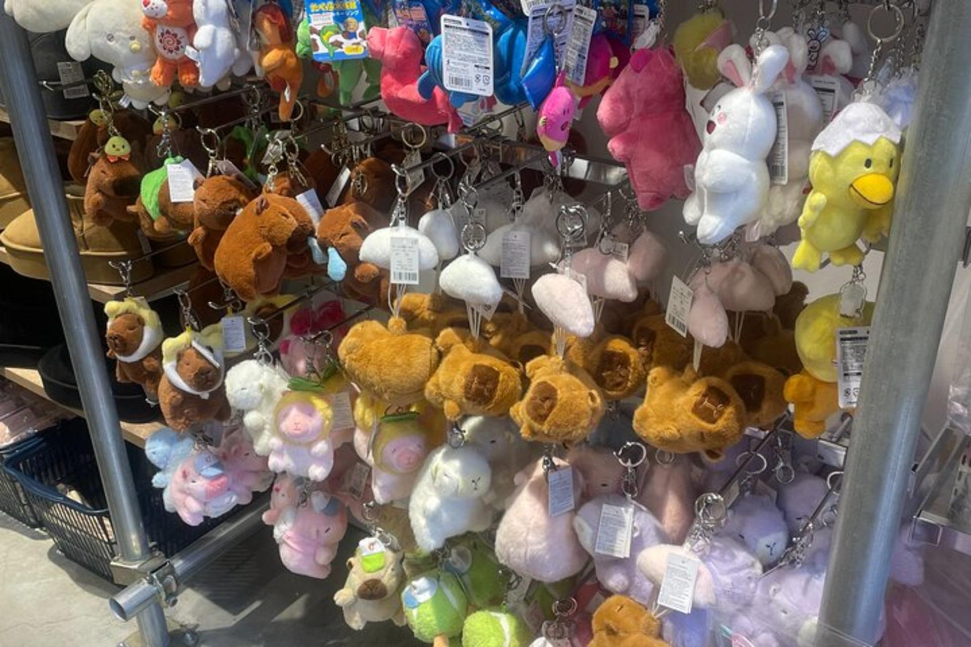 Tokyo: Harajuku "Kawaii" Pop Culture Shopping Tour - Thumbnail 8